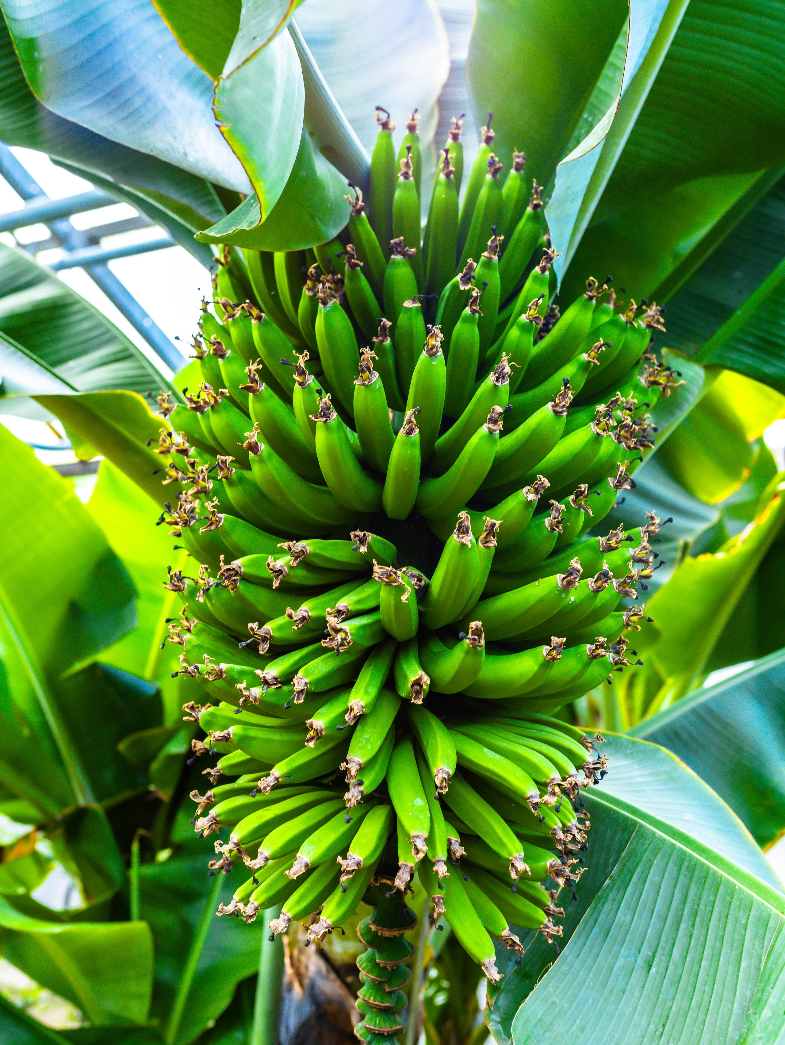 Фотографии природы Липецка. Свадебный и семейный фотограф Виолетта в Липецке