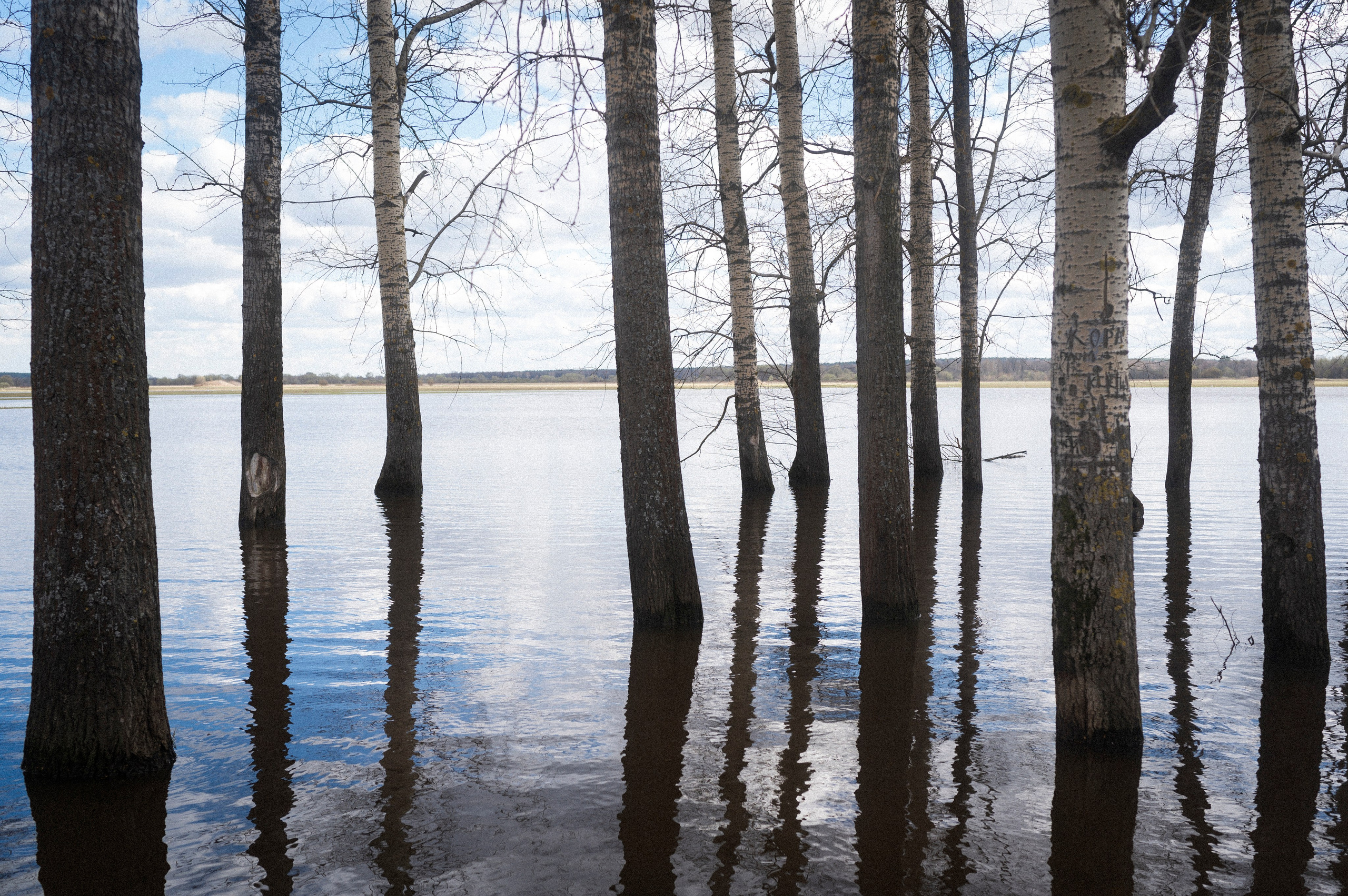 Late Honeymoon. Kartascheff