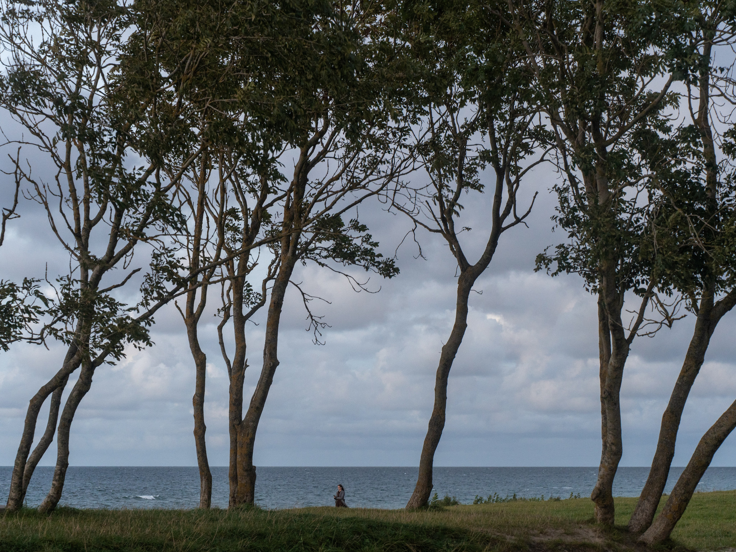 Фотографии. Ксения Доможилова