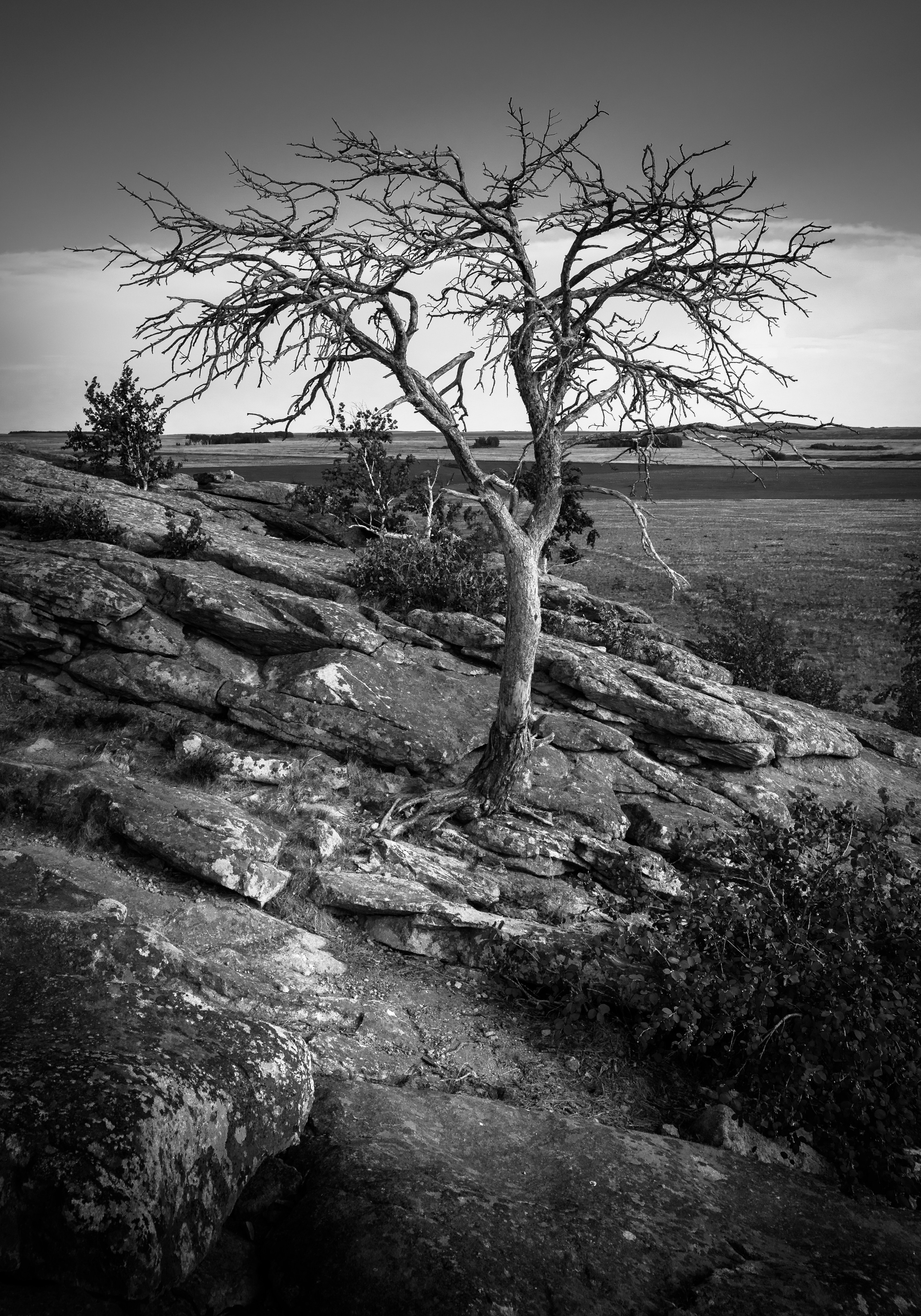 Пейзажные фотографии. Фотограф Стерлитамак Уфа Ишимбай фуд-фотография предметная портреты