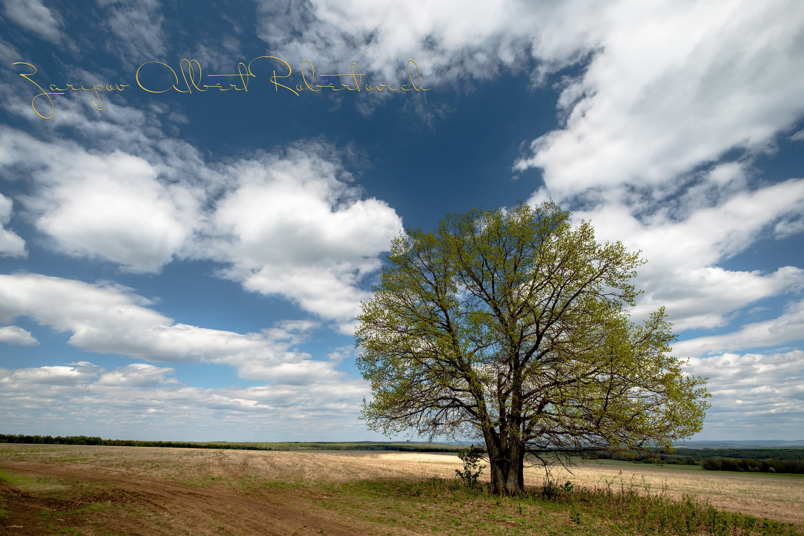 Пейзажные фотографии. Фотограф Стерлитамак Уфа Ишимбай фуд-фотография предметная портреты
