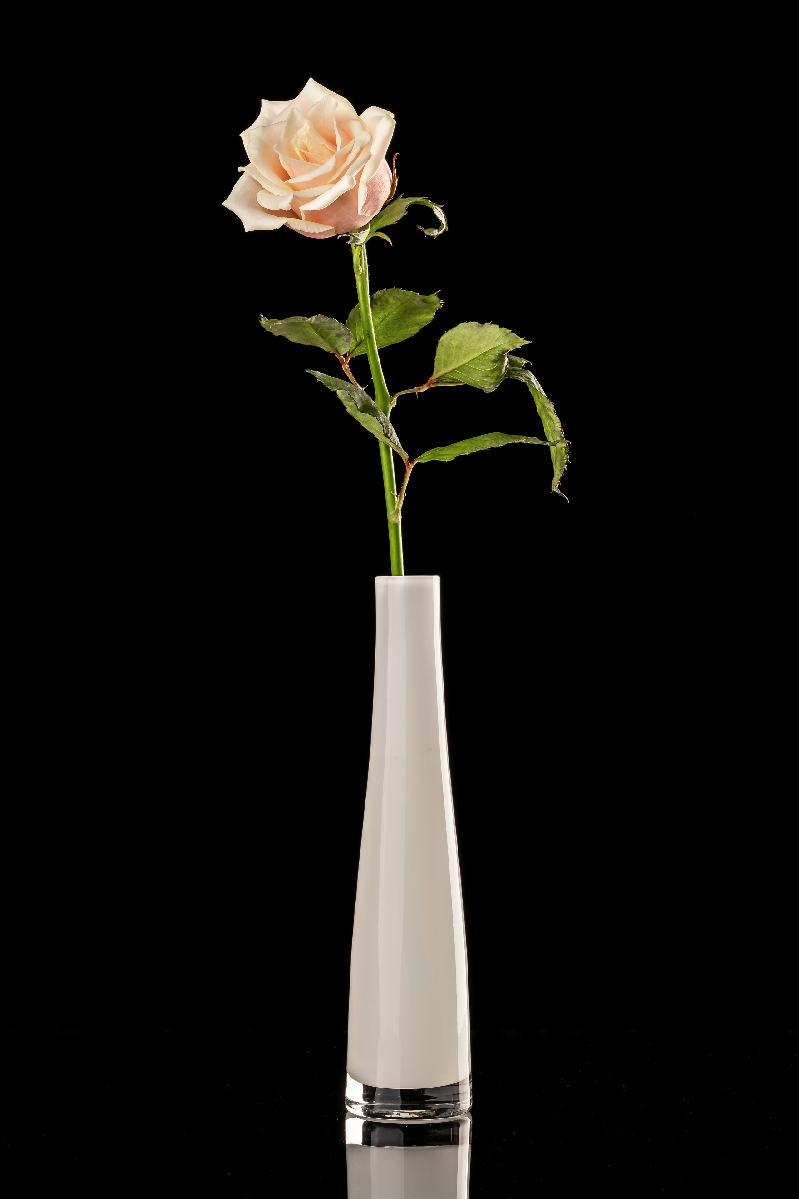 Food, предметная съемка. Фотограф Стерлитамак Уфа Ишимбай фуд-фотография предметная портреты