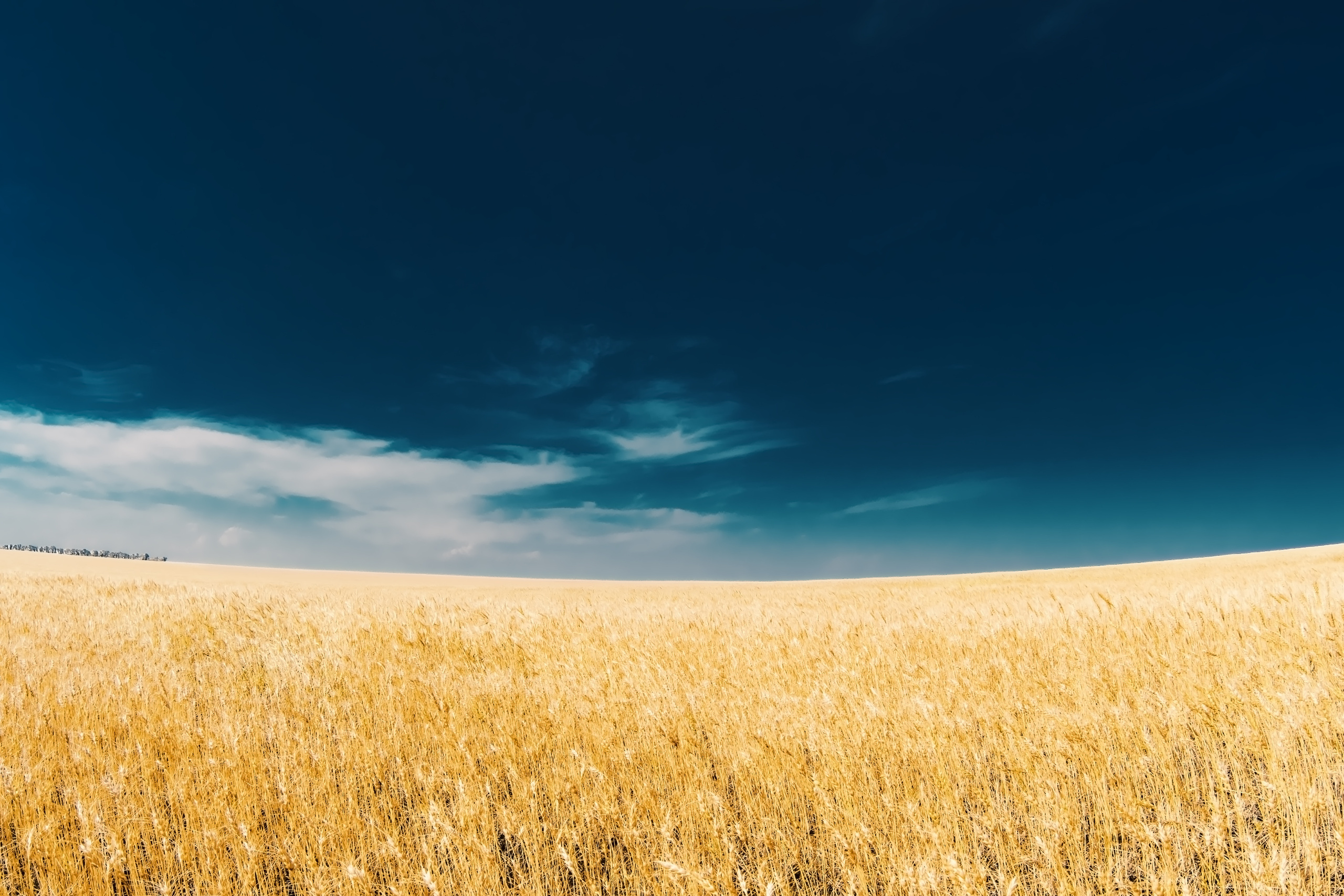 Пейзажные фотографии. Фотограф Стерлитамак Уфа Ишимбай фуд-фотография предметная портреты