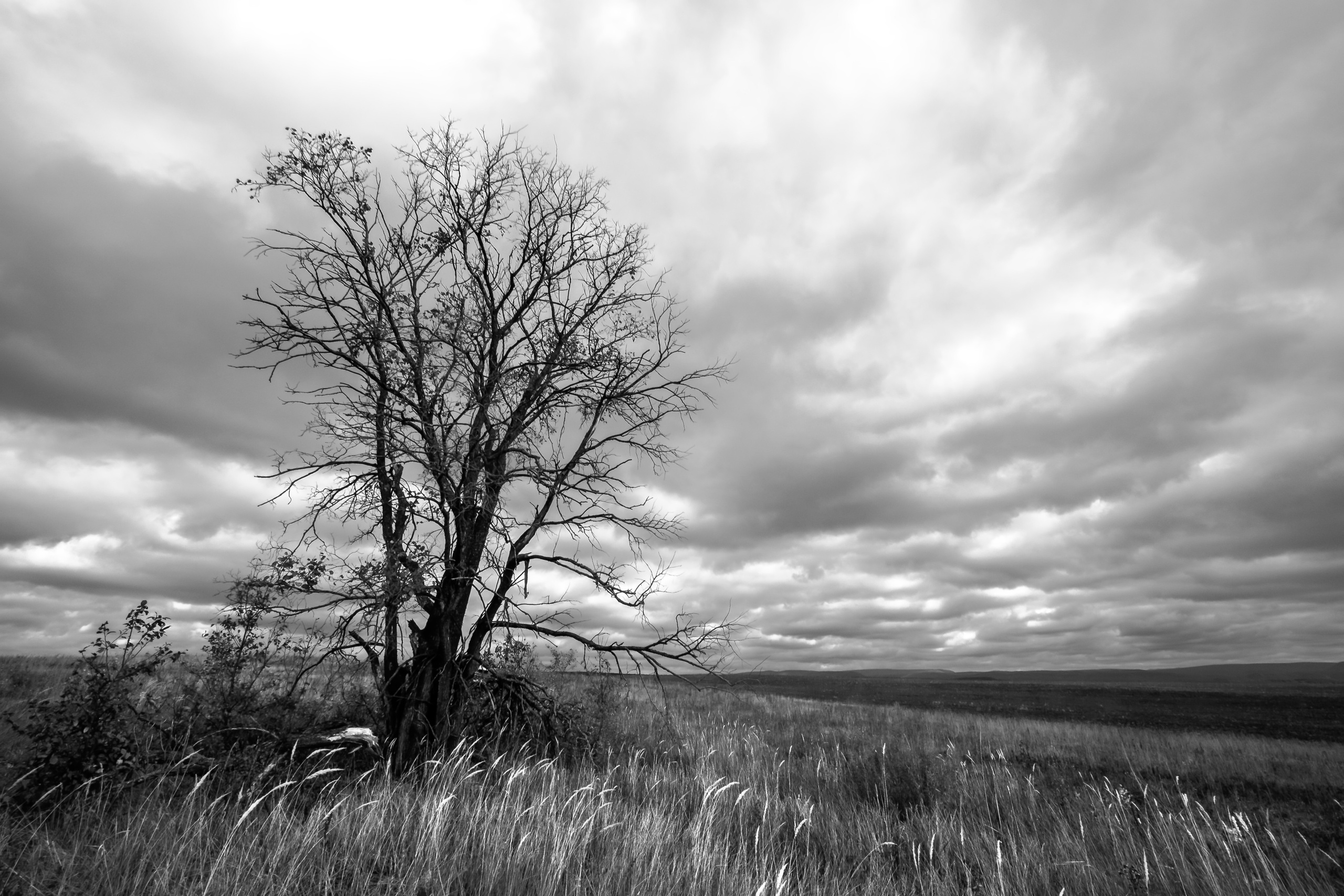 Пейзажные фотографии. Фотограф Стерлитамак Уфа Ишимбай фуд-фотография предметная портреты