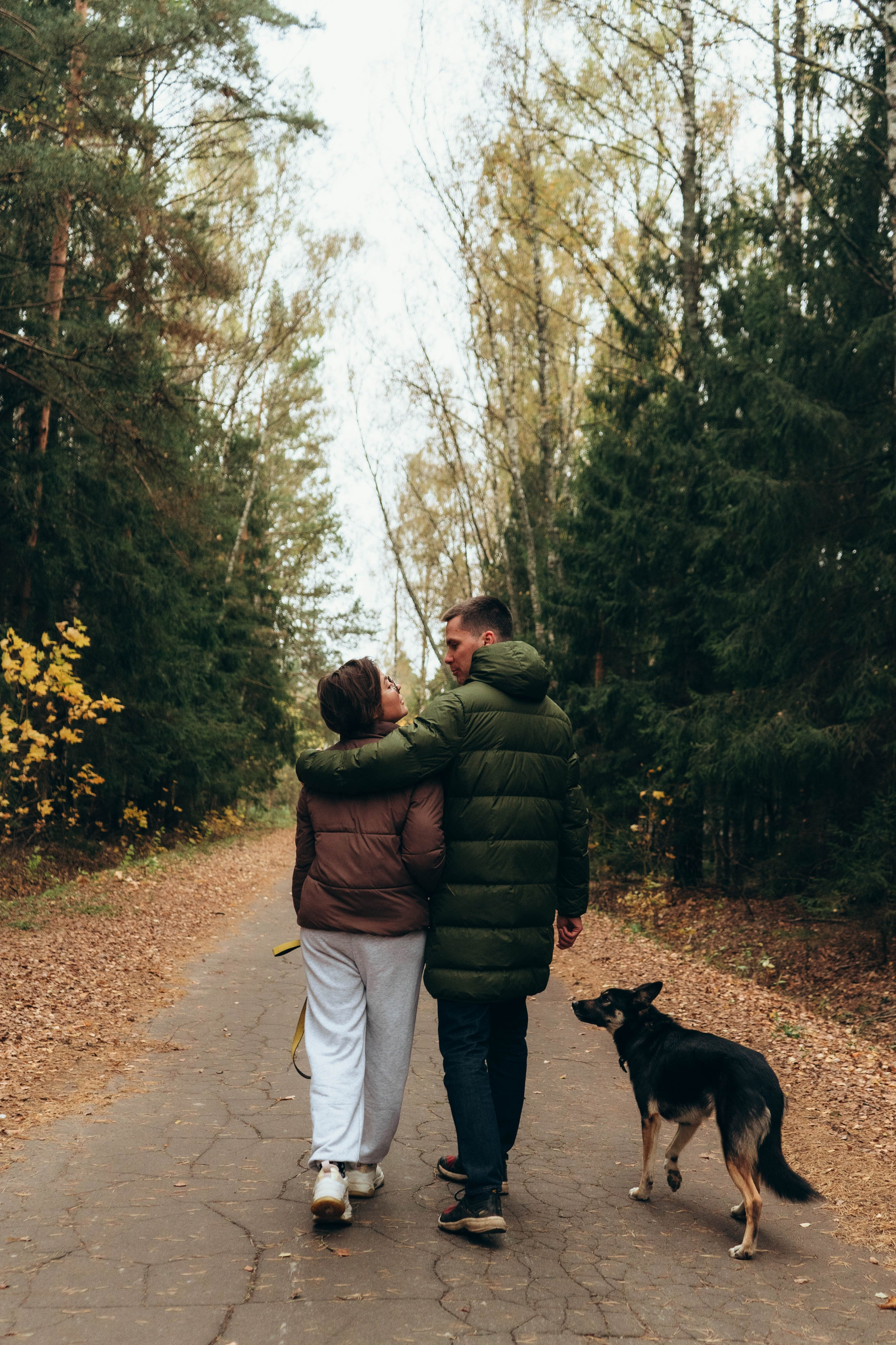 Даша, Леша и Гарри