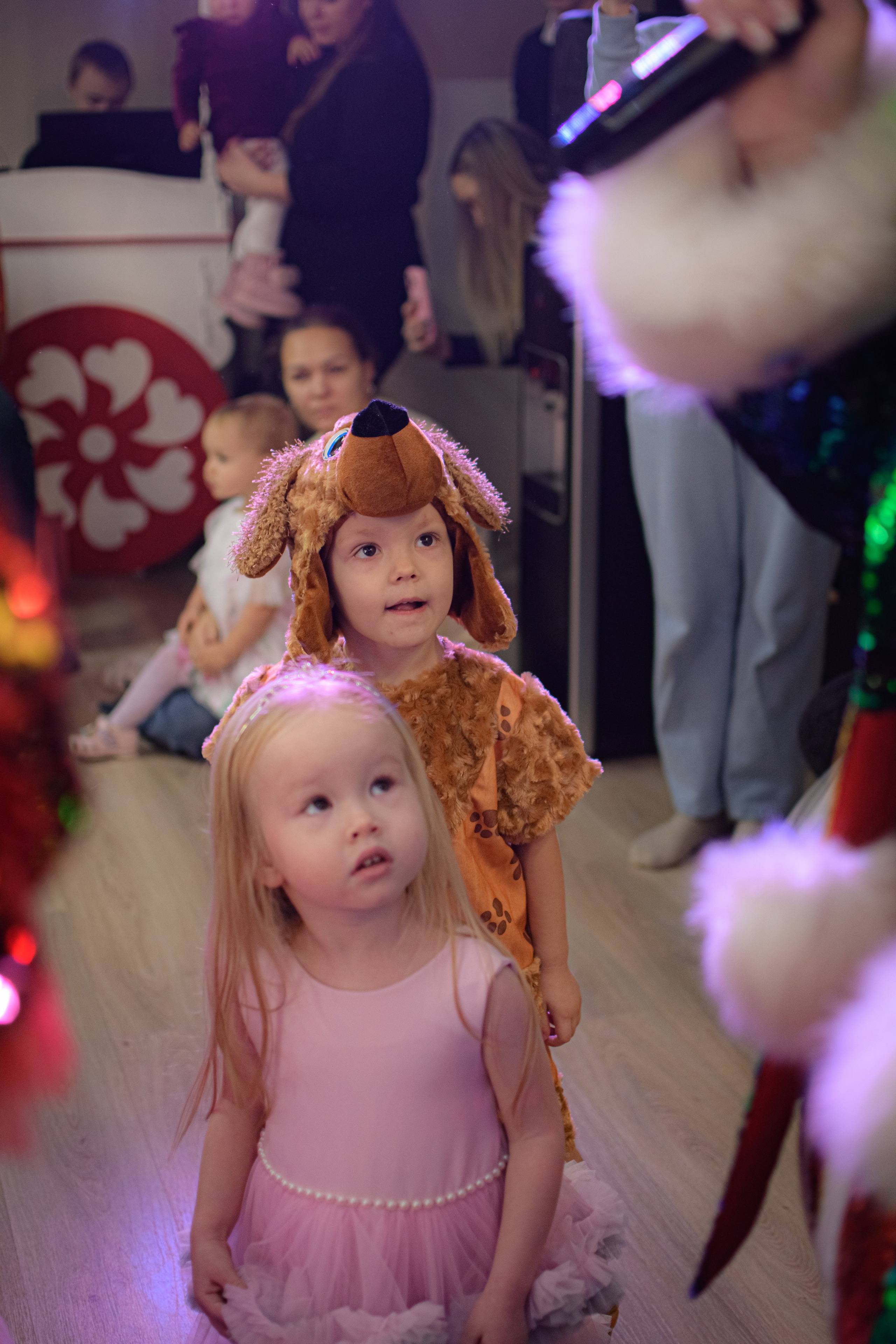 HAPPY NEW YEAR. Photokarish