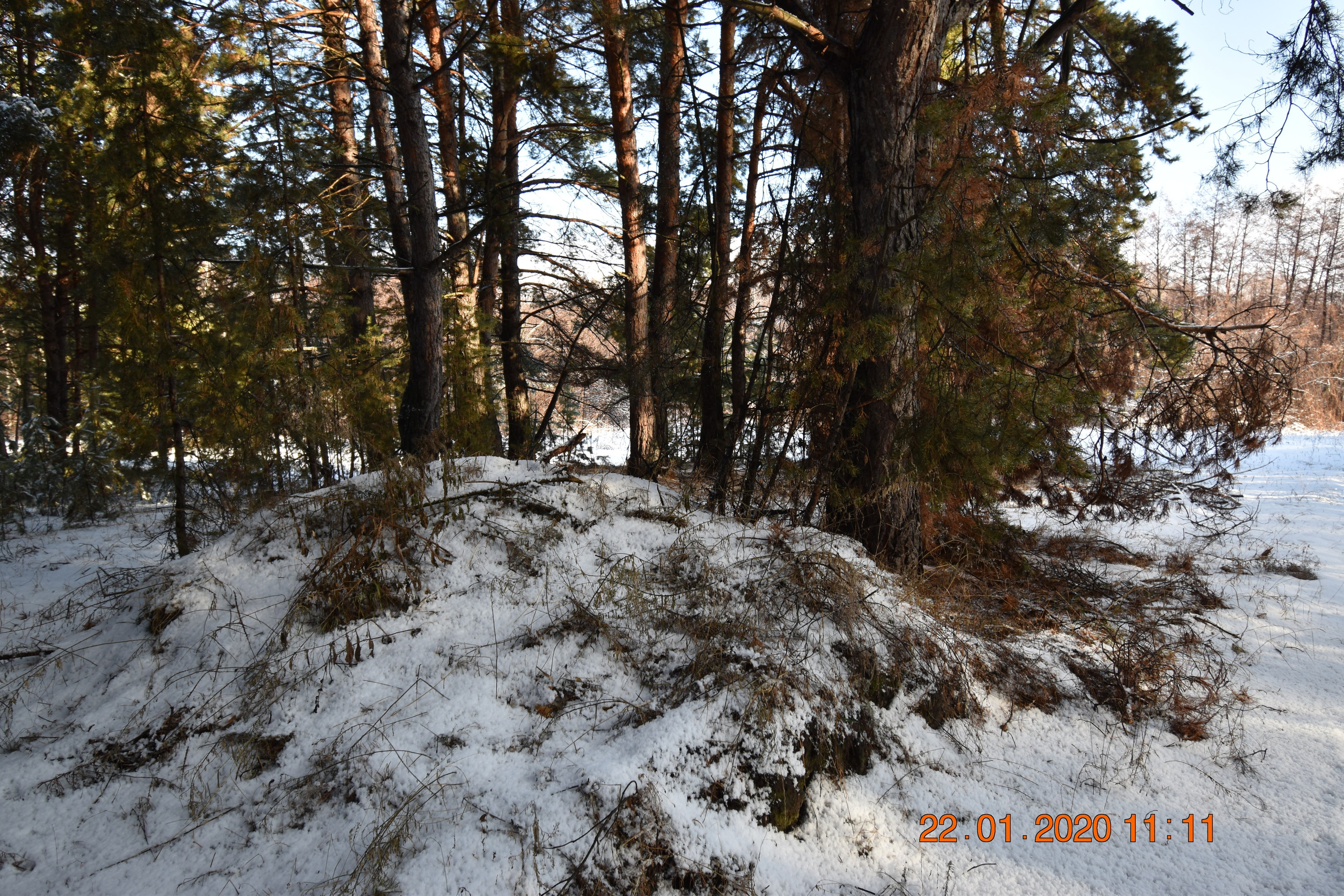 Все что тронуло, миниатюры. Созерцатель. фотографирую что тронуло и впечатлило. самарская область