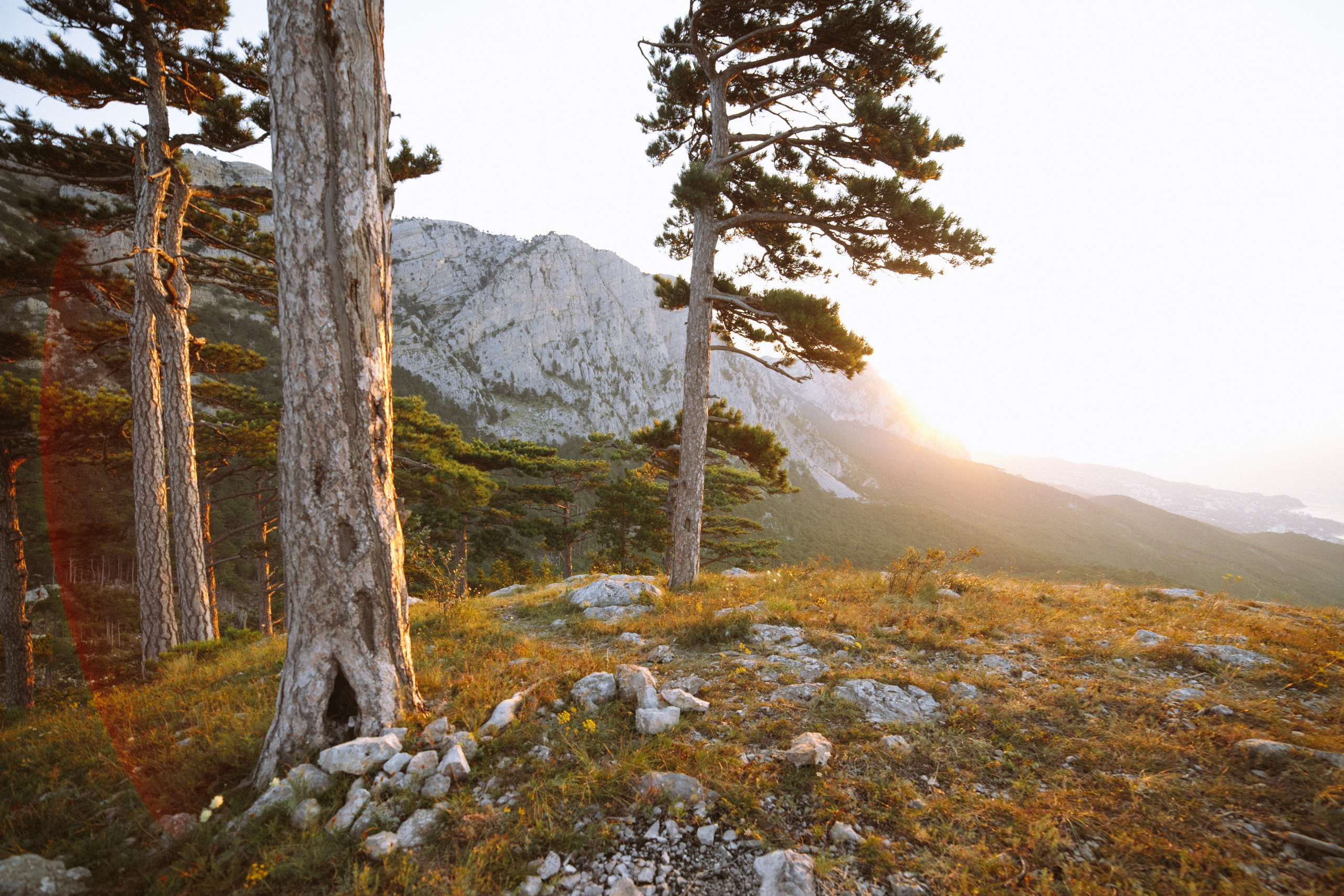 Nature. Артем Корнев Фотограф