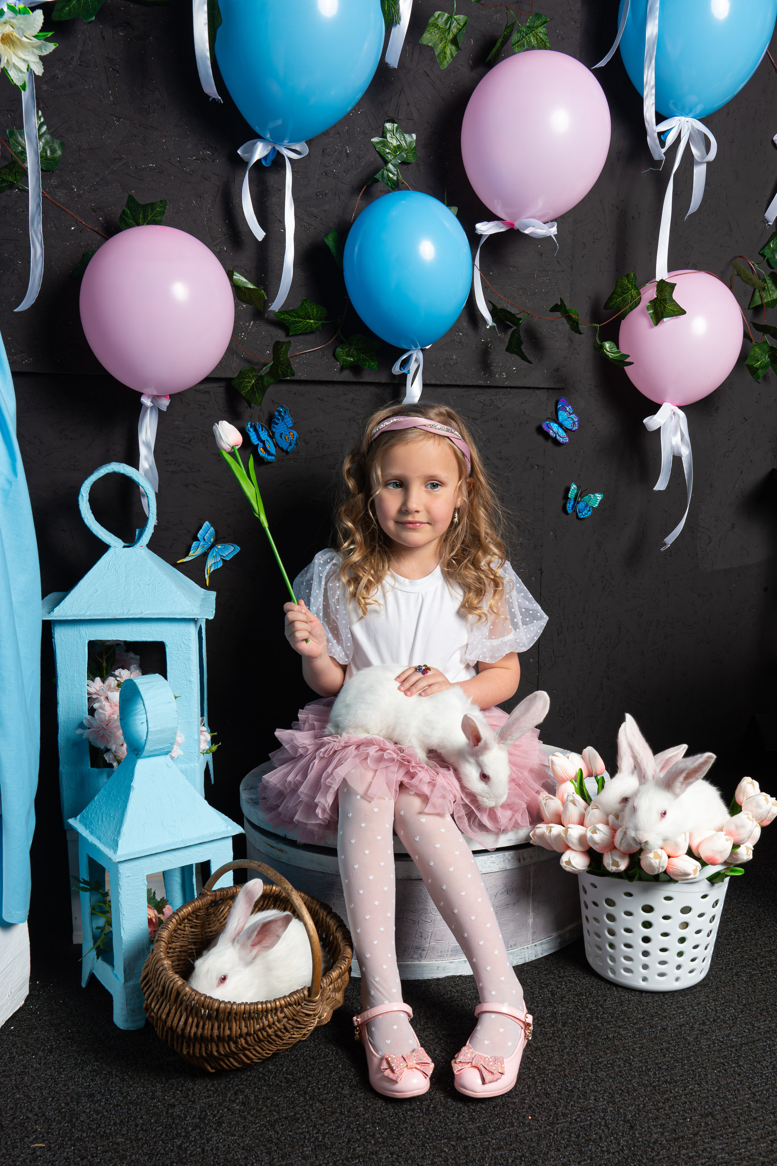 Крольчата март 2025. Фотограф на Камчатке Анна Моргачёва. Семейные и детские съёмки