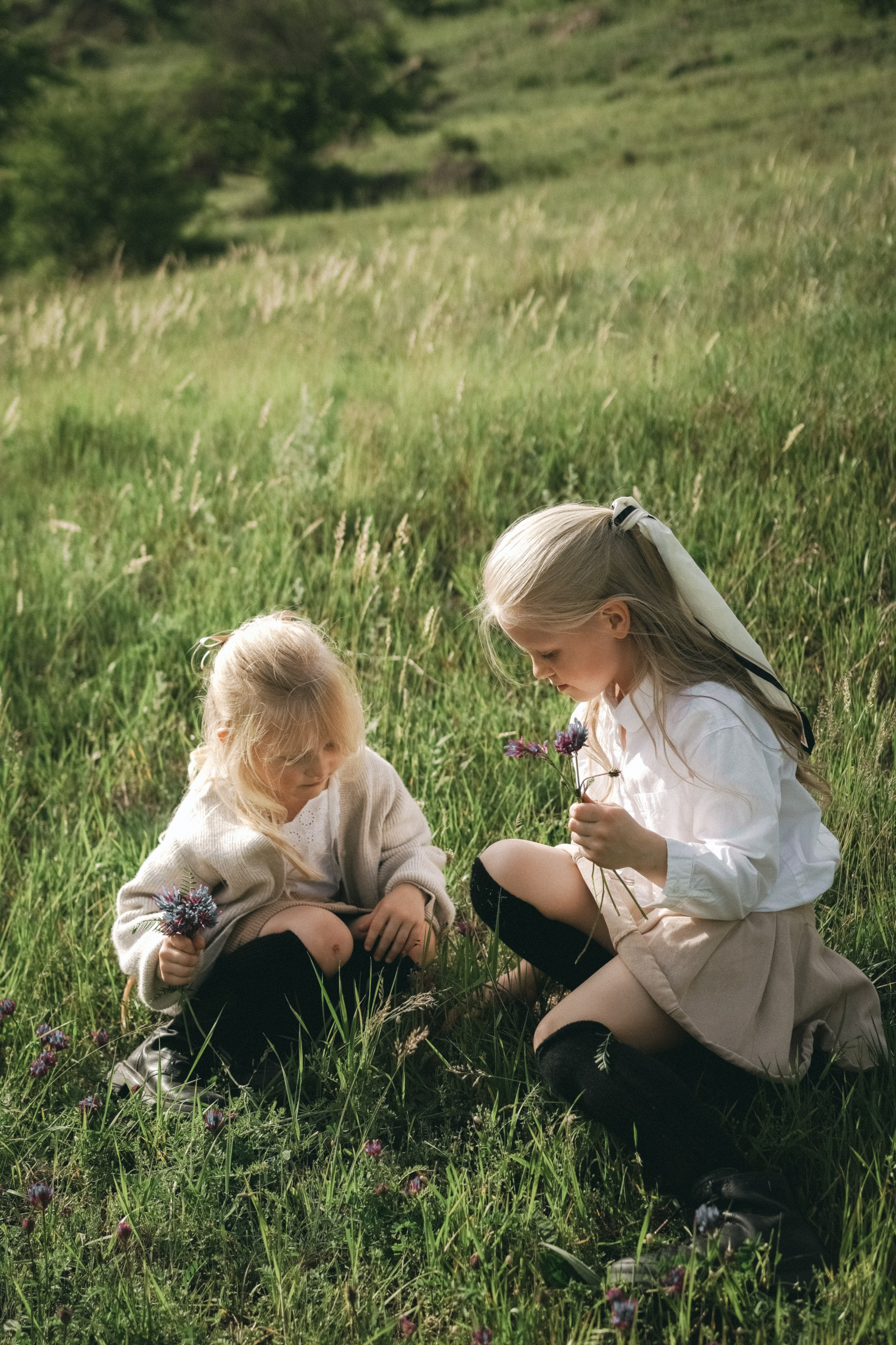 Фермерская история. Свадебный и семейный фотограф Афанасьева Анна в Кисловодске