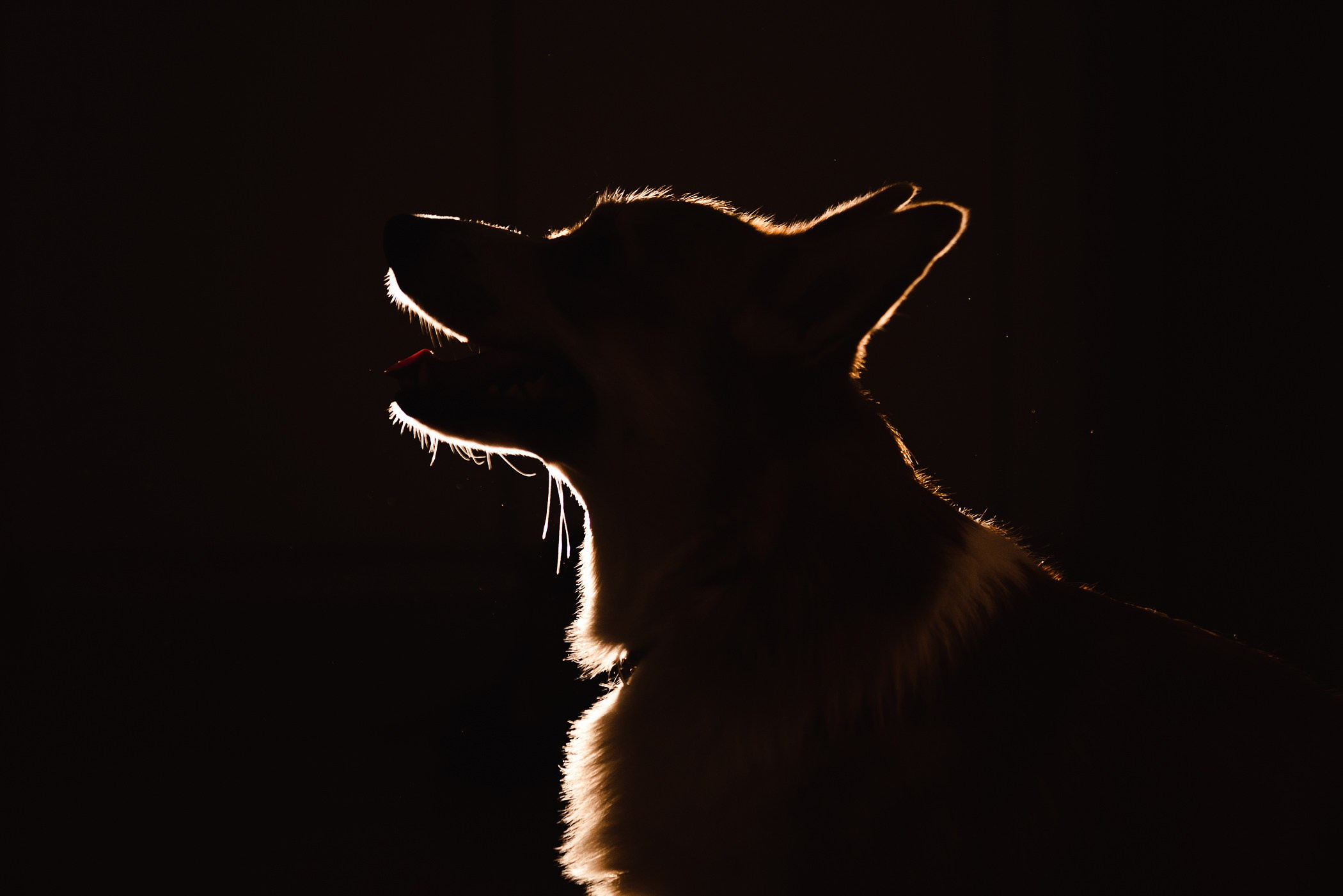 Пижамная вечеринка Тани и Димы. Семейный Фотограф в Москве Ирина Хохлова