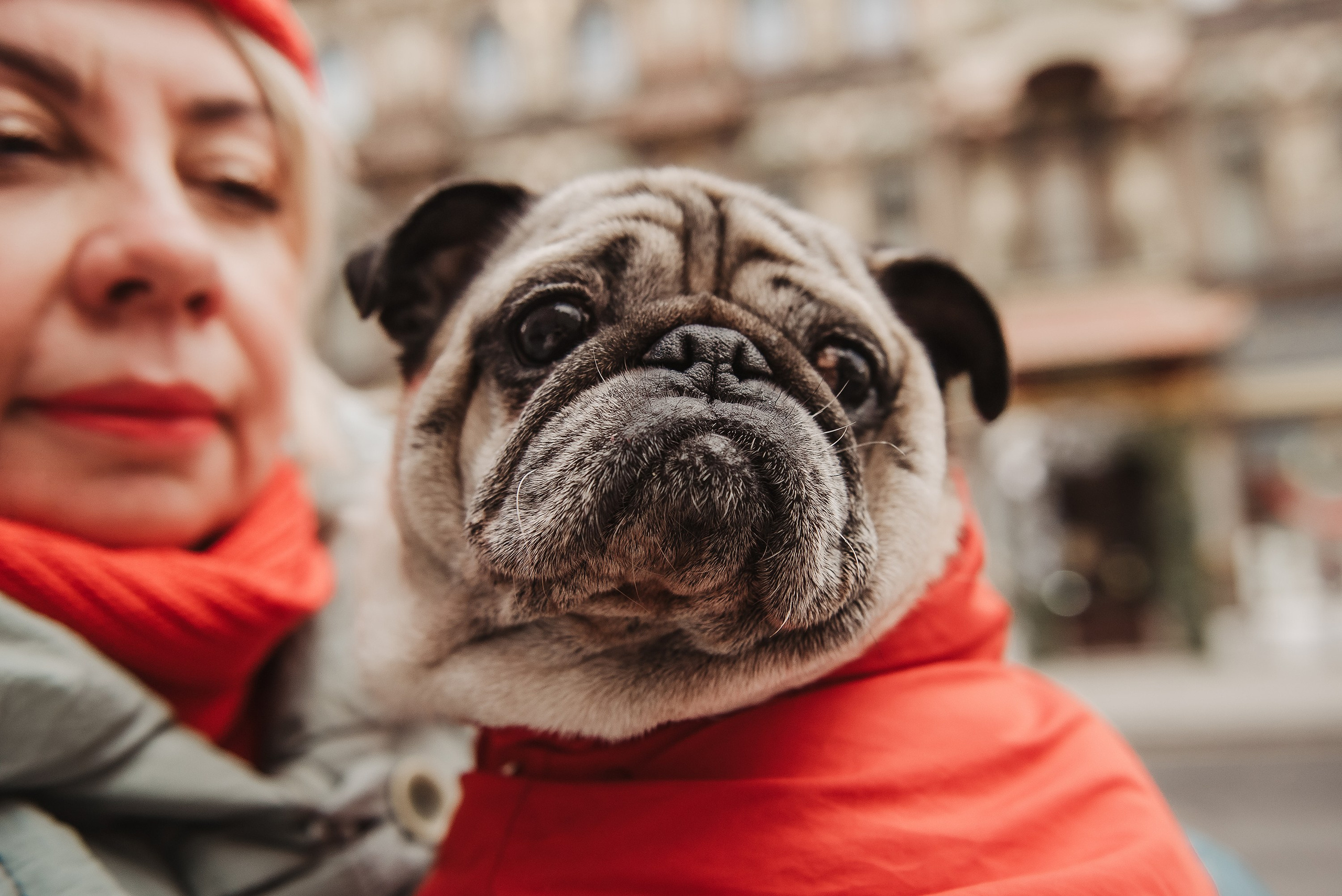 Ольга и Потапум. Прогулка к чайному дому. Семейный Фотограф в Москве Ирина Хохлова