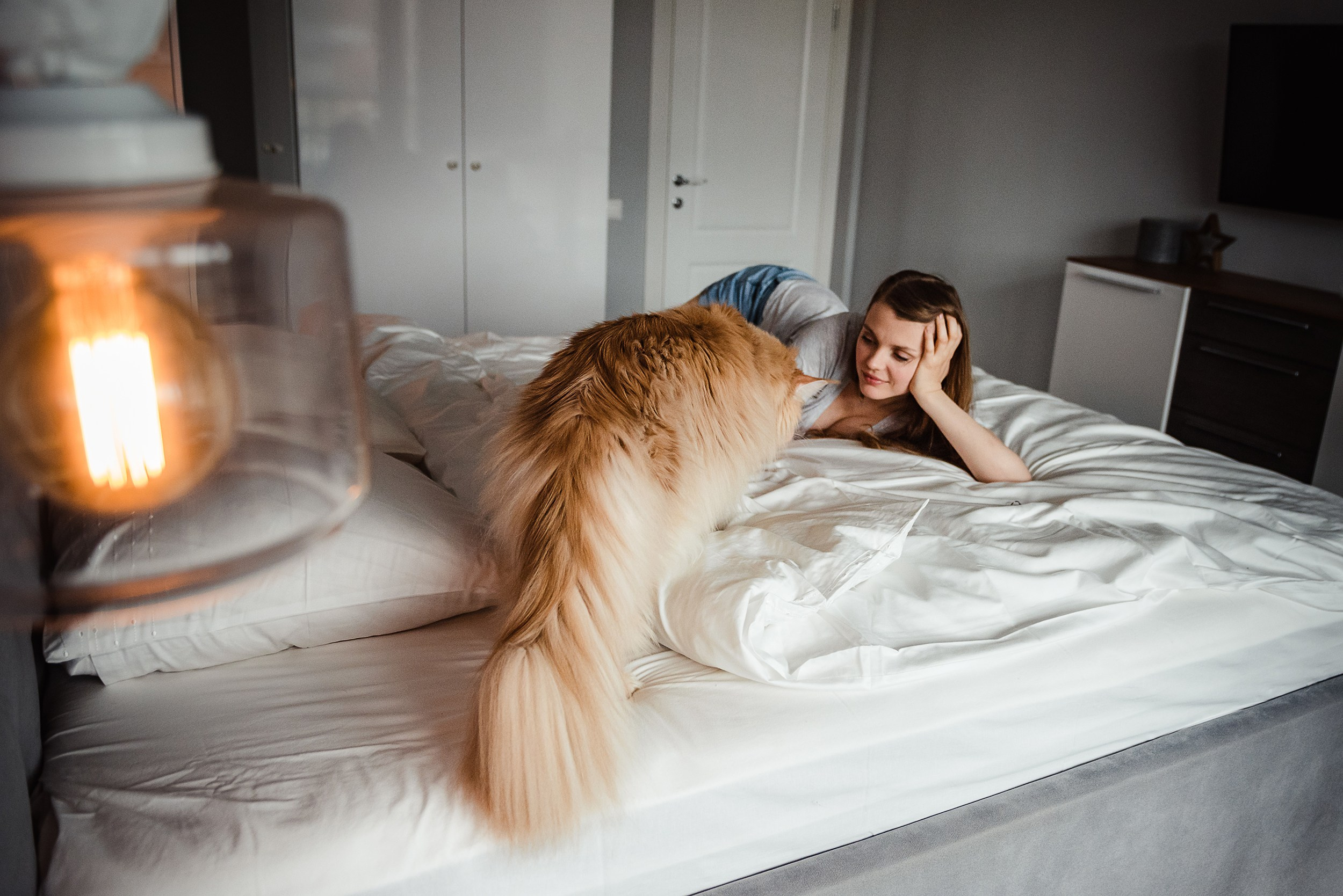 Алена, Виктор, Оливка и Ластик. Семейный Фотограф в Москве Ирина Хохлова