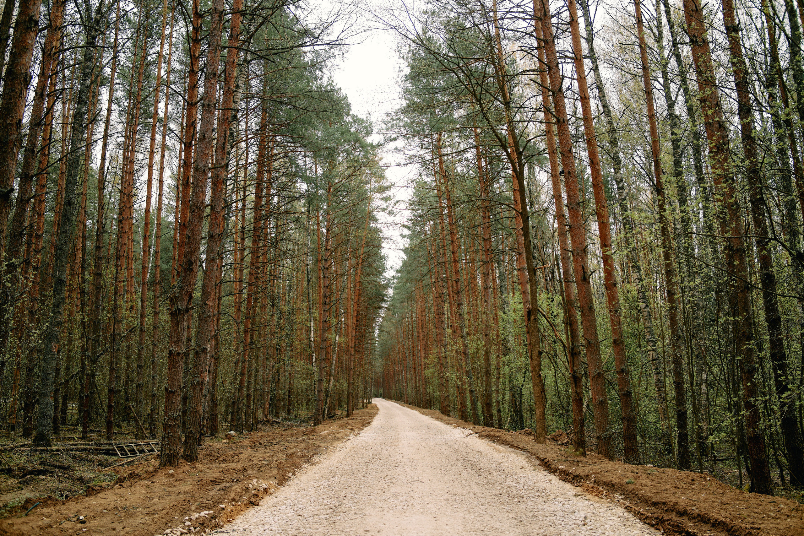 Бутик-отель Поле летом. Профессиональный Фотограф во Владимире, в Москве и в Суздале — Полина Романычева