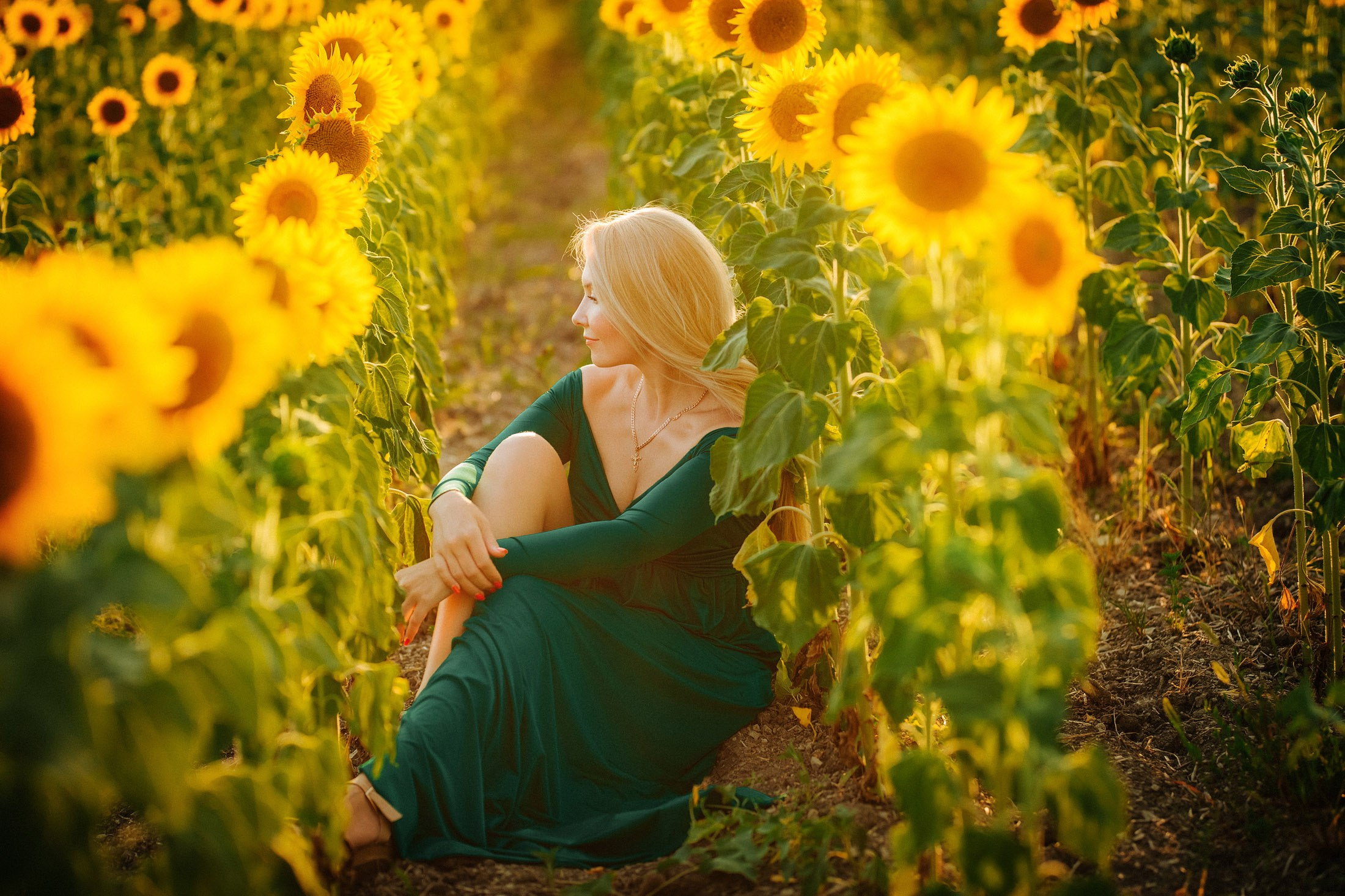 Подсолнухи!. Семейный, детский, свадебный, фотограф в городе Анапа