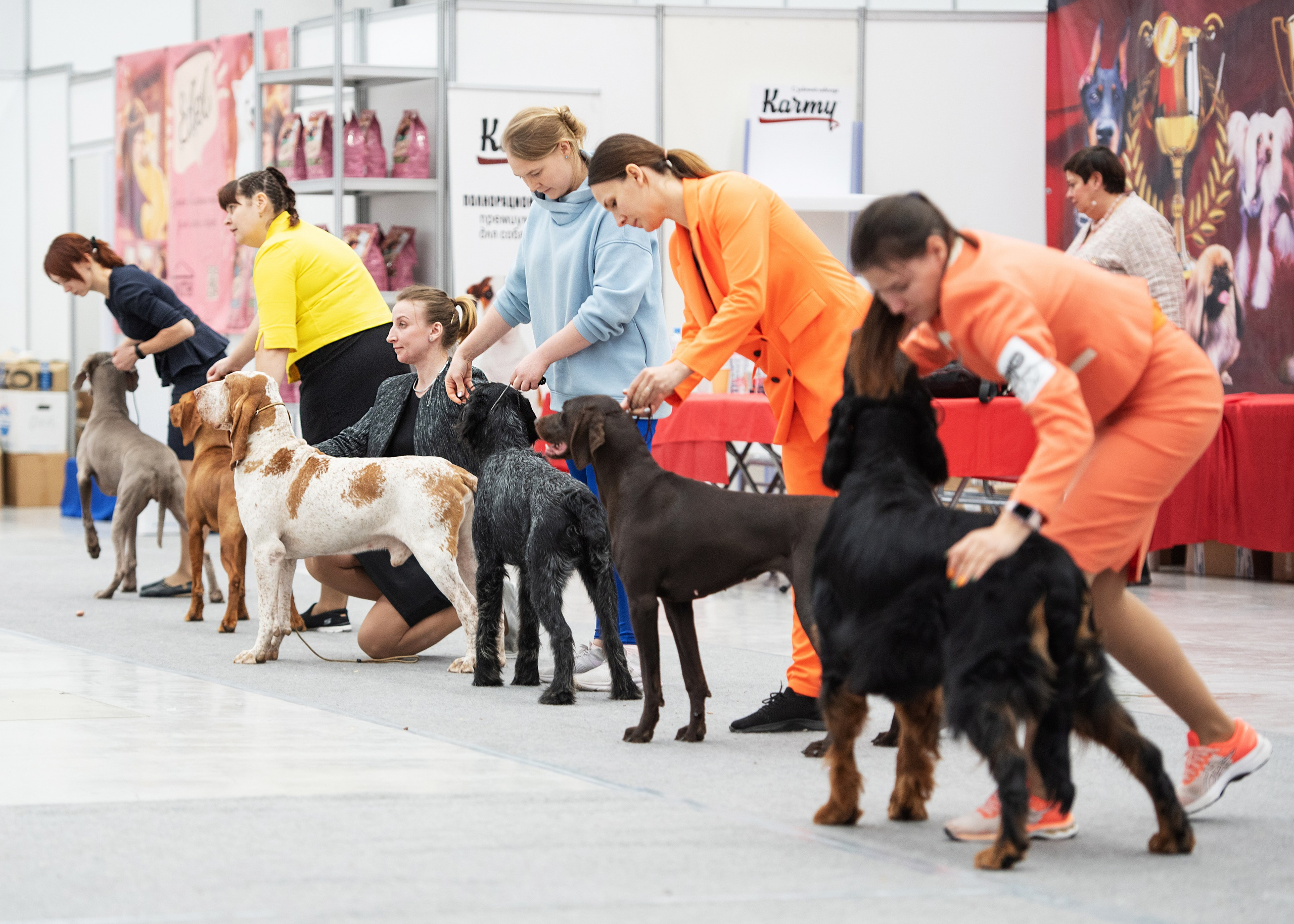 Выставки. Главная