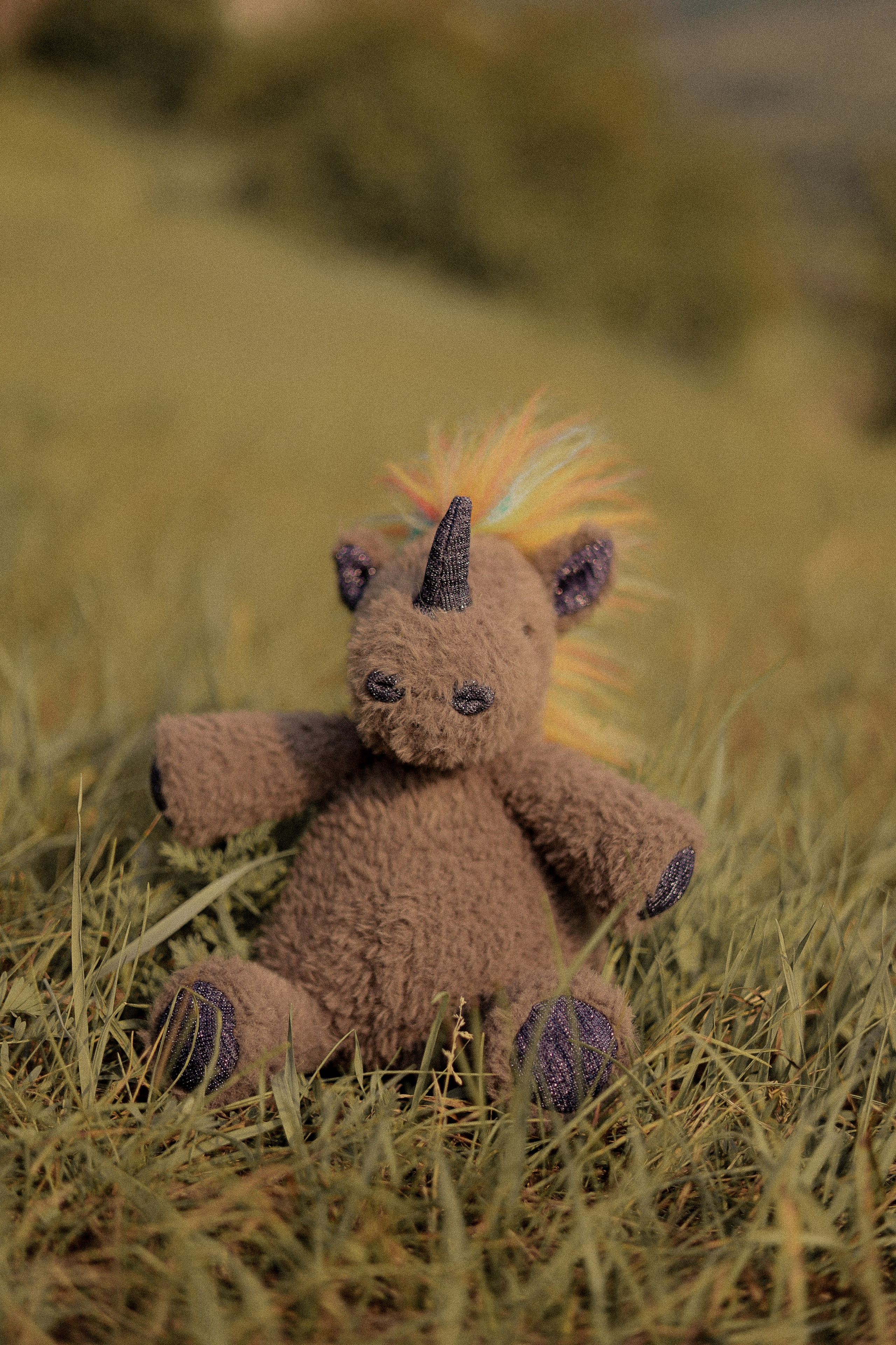 Амелия ♡ Николай. Фотограф в г. Чита