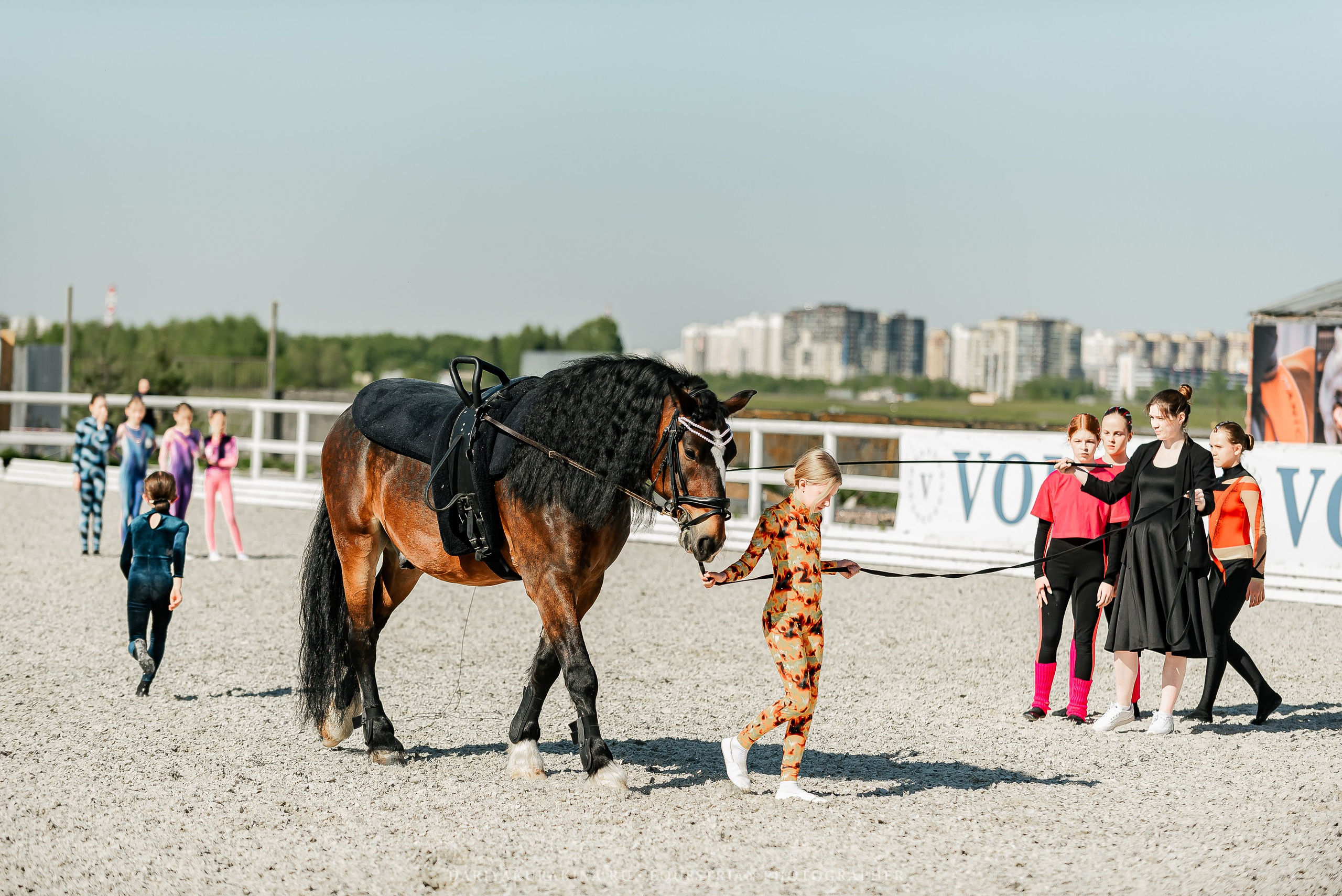 РЕПОРТАЖ МКК ВОЛЬТ «LA TULIPS». Конный фотограф Куракина Дарья • Фотосессии с лошадьми