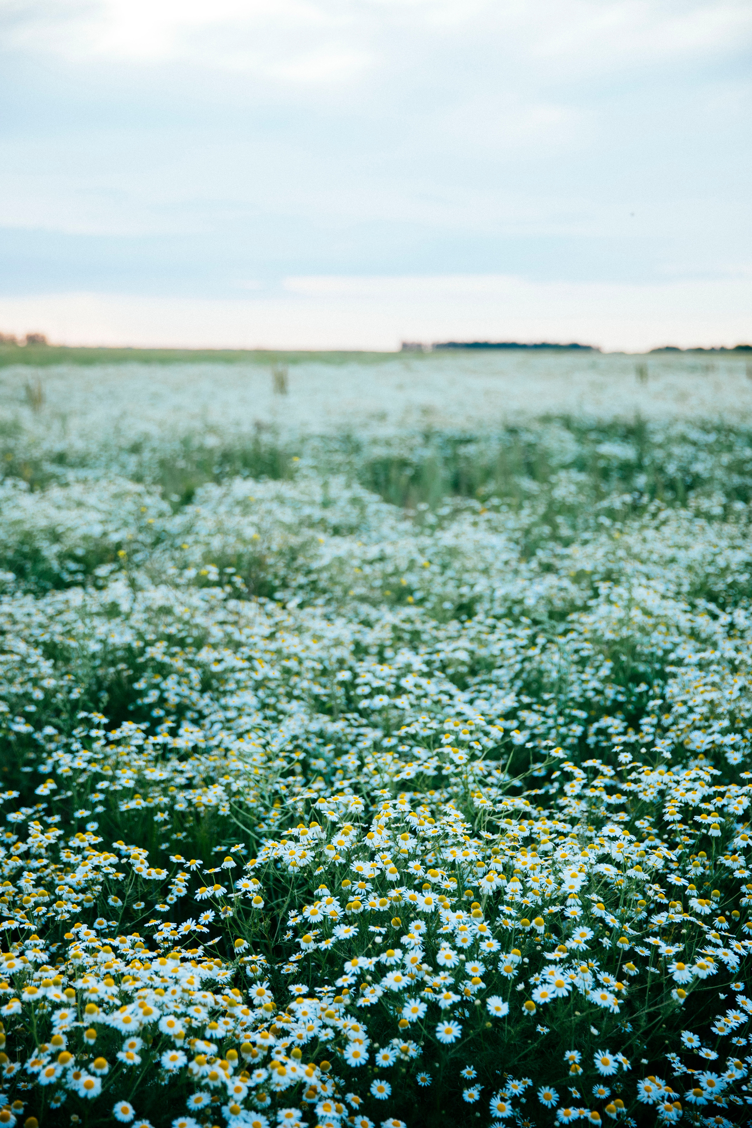 Фотосессия природы