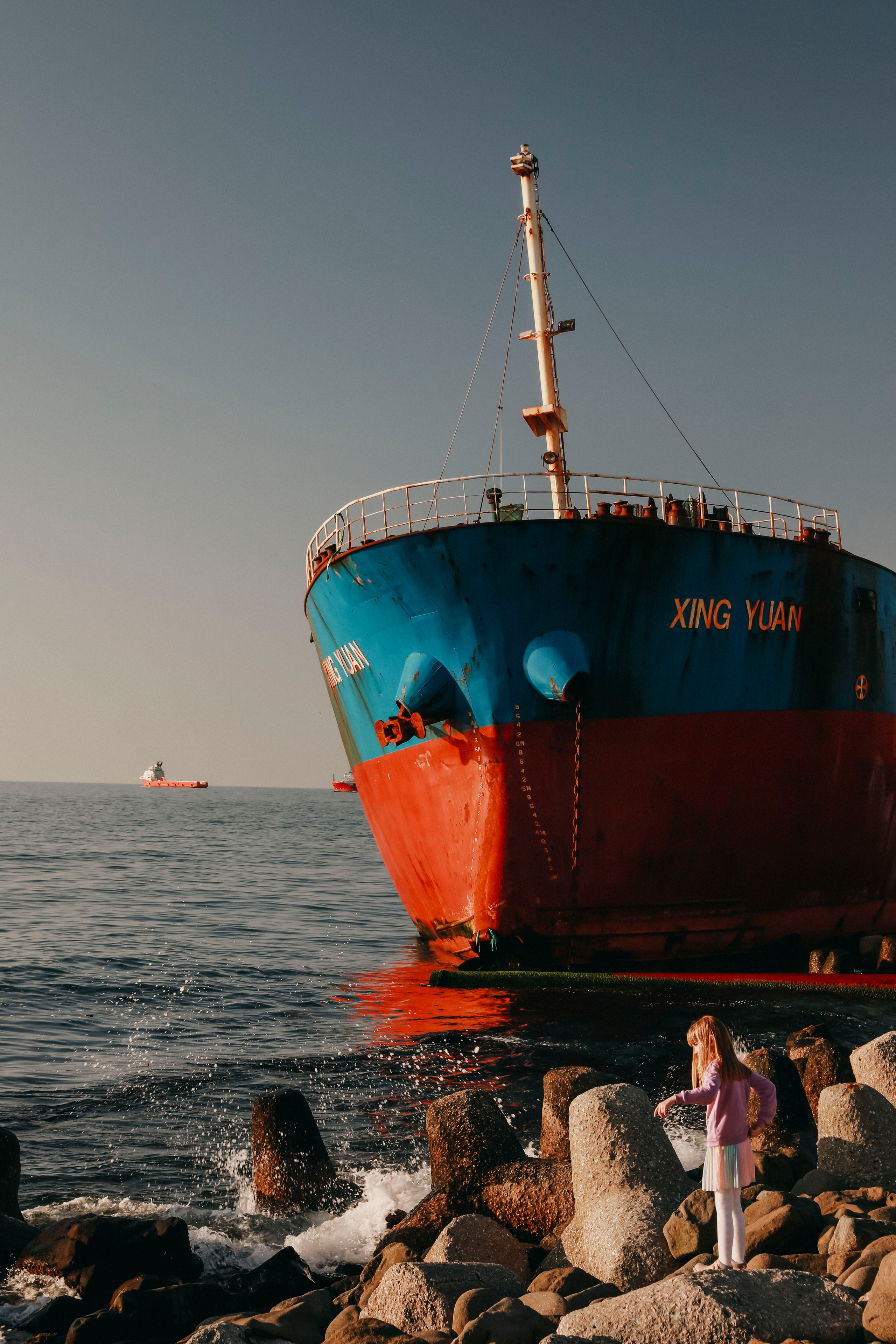 Китайский сухохруз  выкинутый на берег Сахалина 