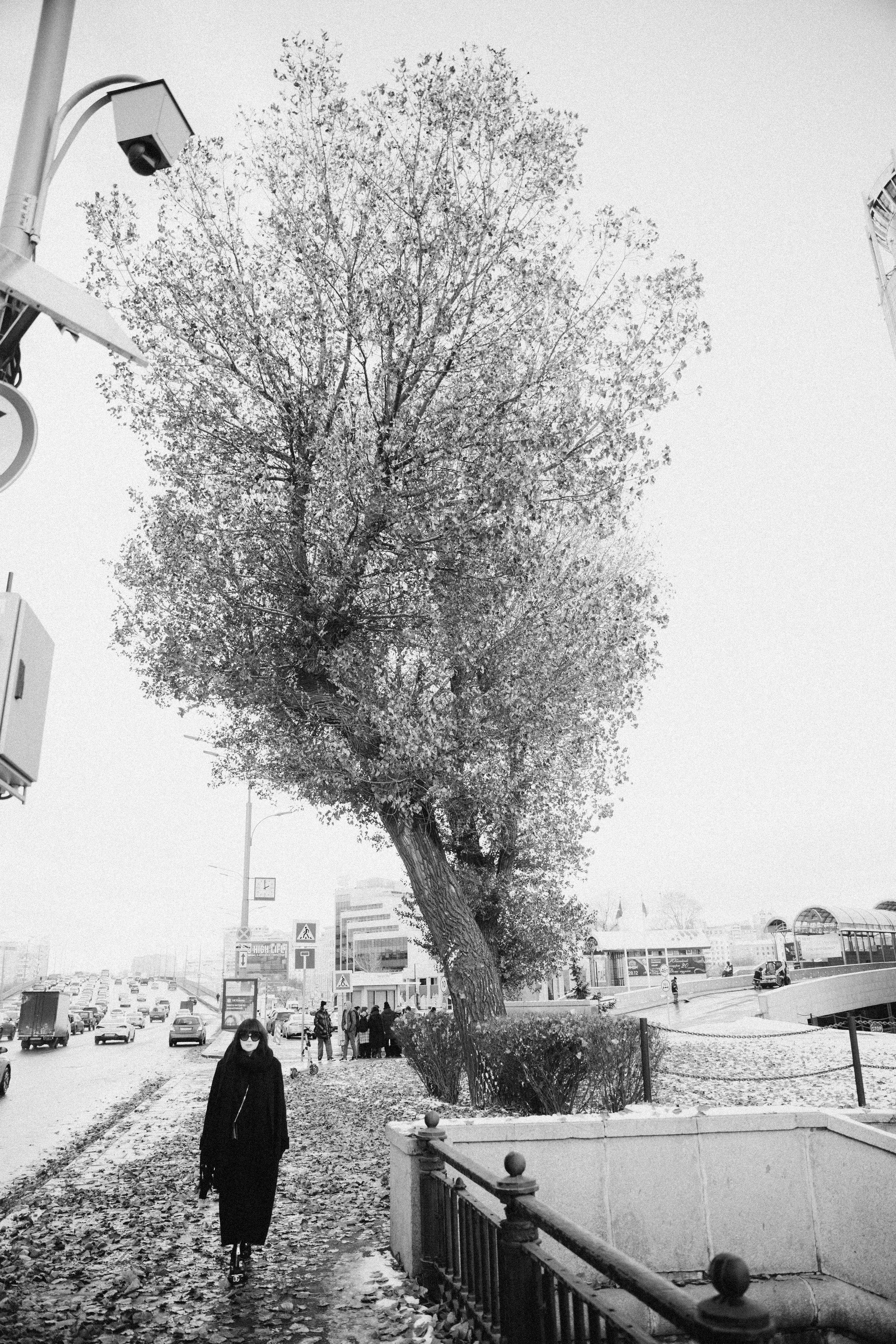 Профессиональная фотопрогулка  по Москве