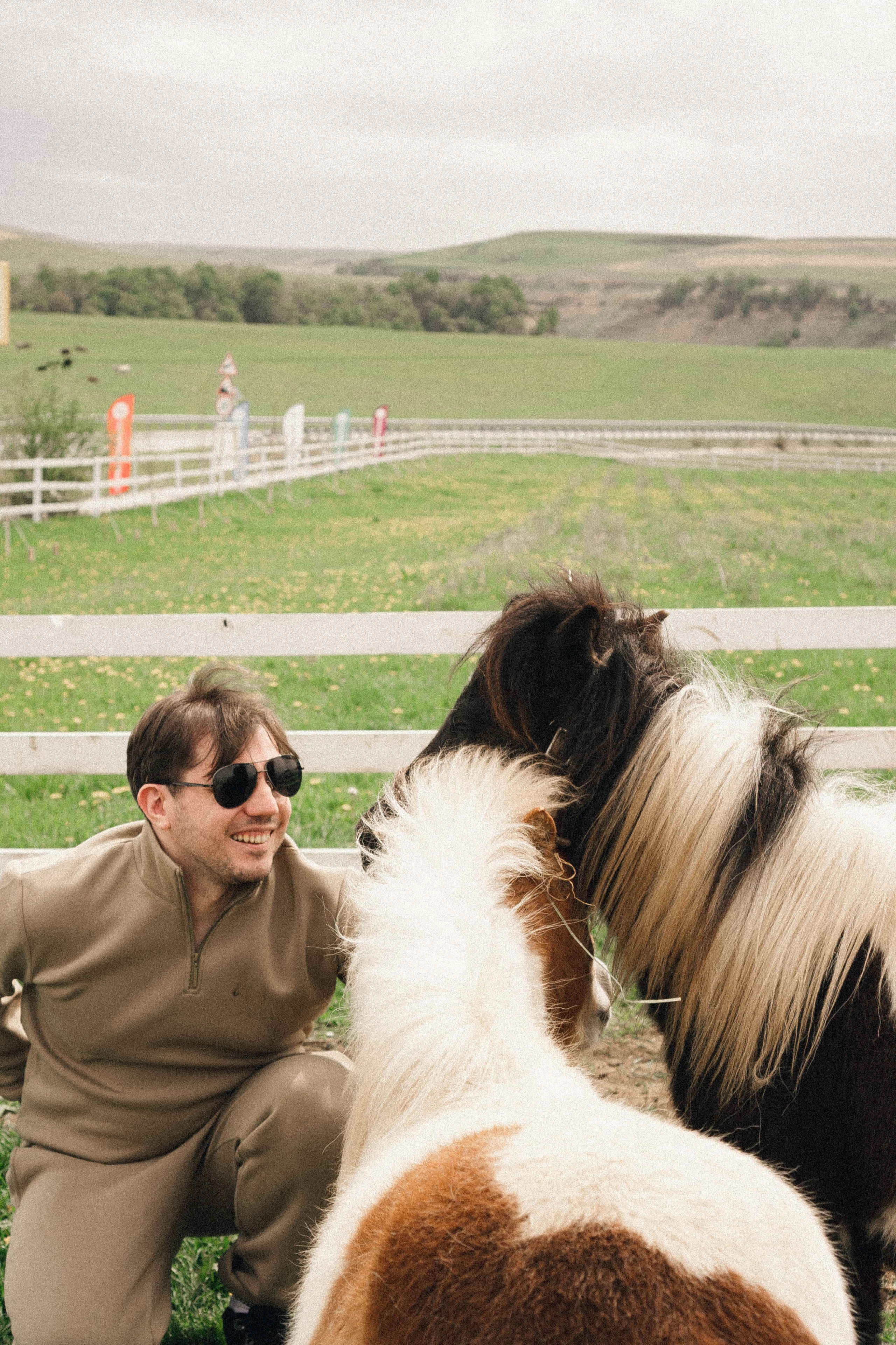 Ферма Альпак. Профессиональный фотограф, Санкт-Петербург — Виктория Богомолова