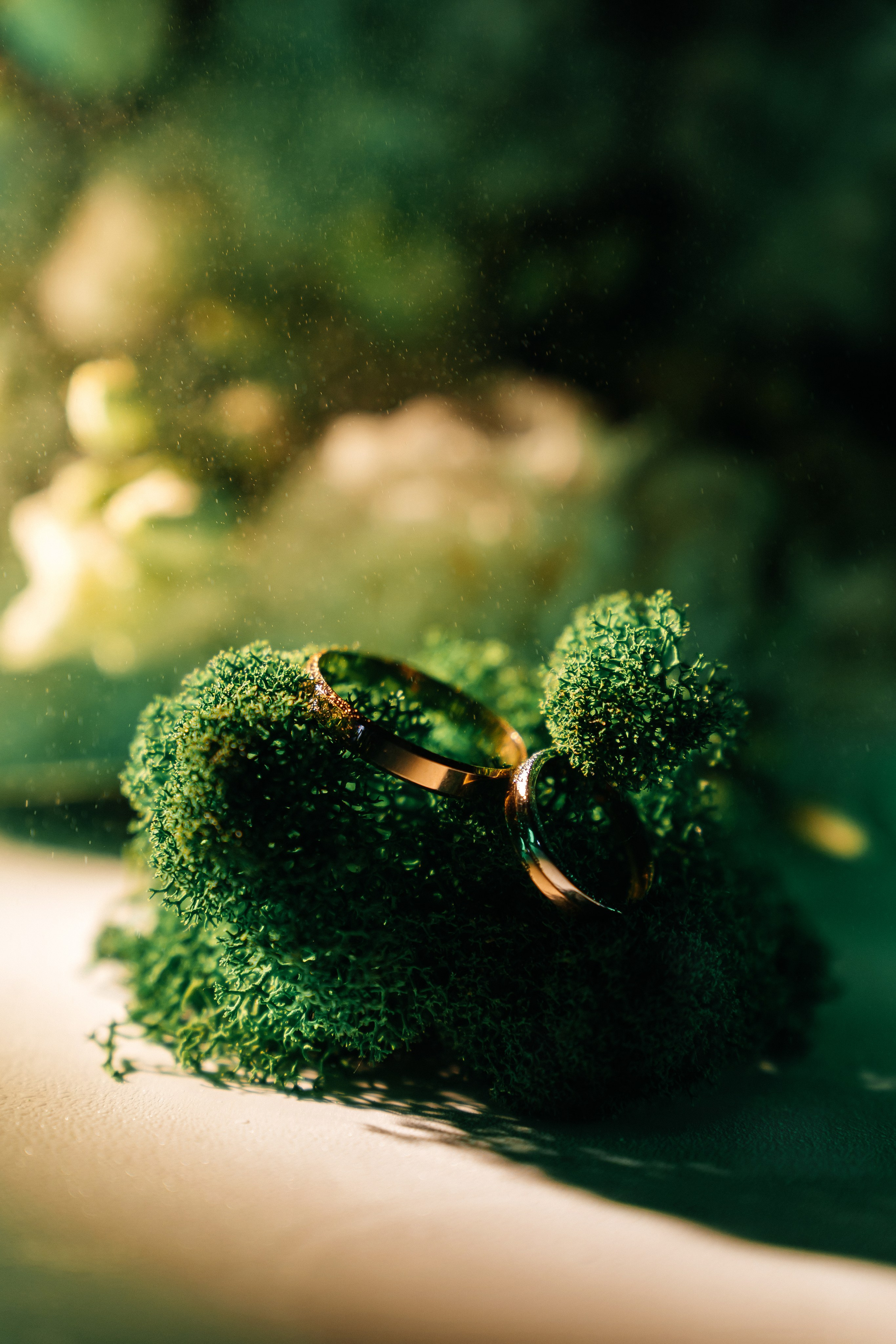 Артем и Настя. Фотограф Новополоцк, Полоцк, Минск, РБ, Зимаков Егор