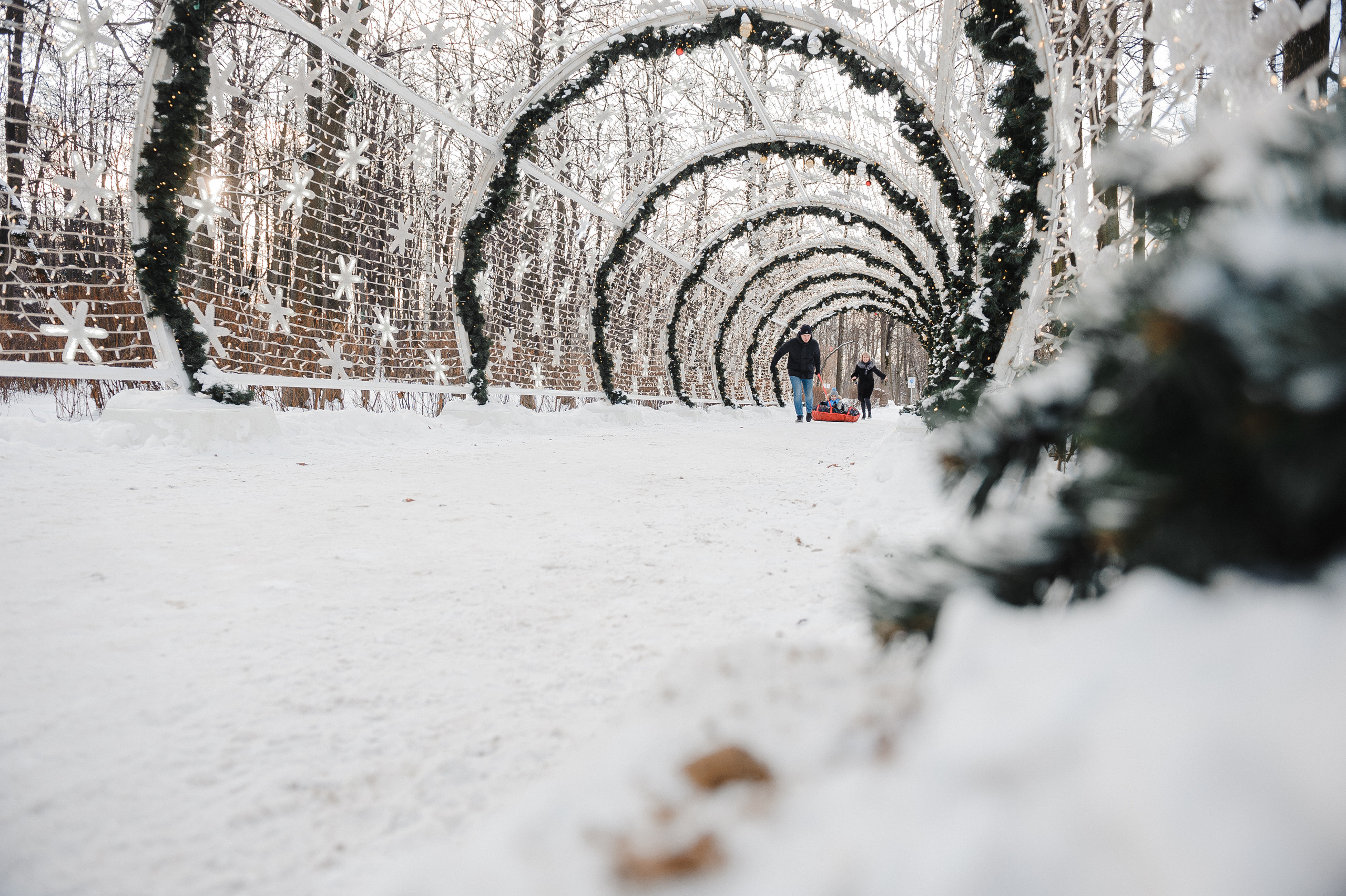 Зимняя прогулка. Свадебный фотограф в Москве Алексей Тук