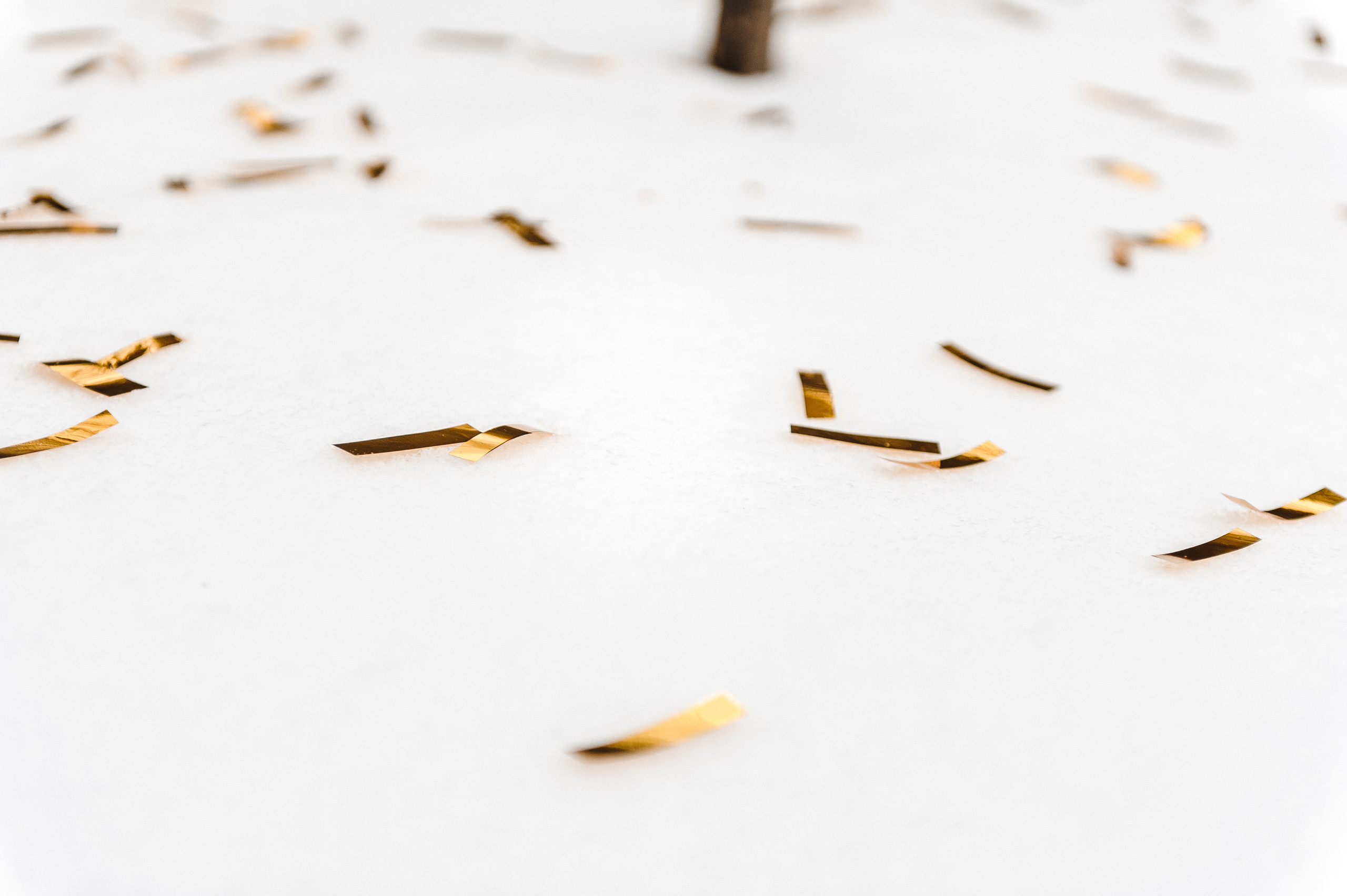 Зимняя прогулка. Свадебный фотограф в Москве Алексей Тук