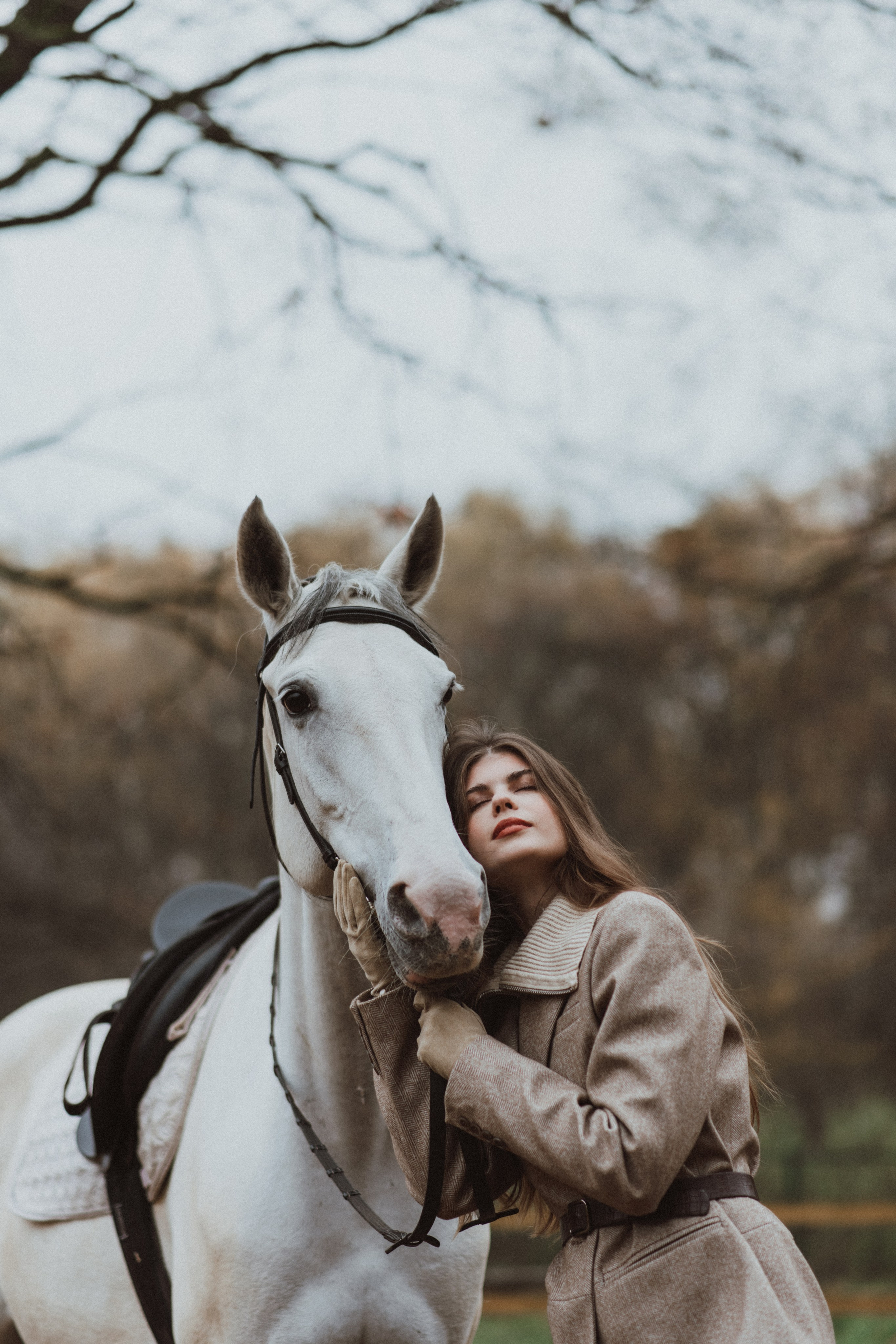 «Осенний ветер и грациозный скакун». Фотограф в Москве/Зарайске Шахова Марина
