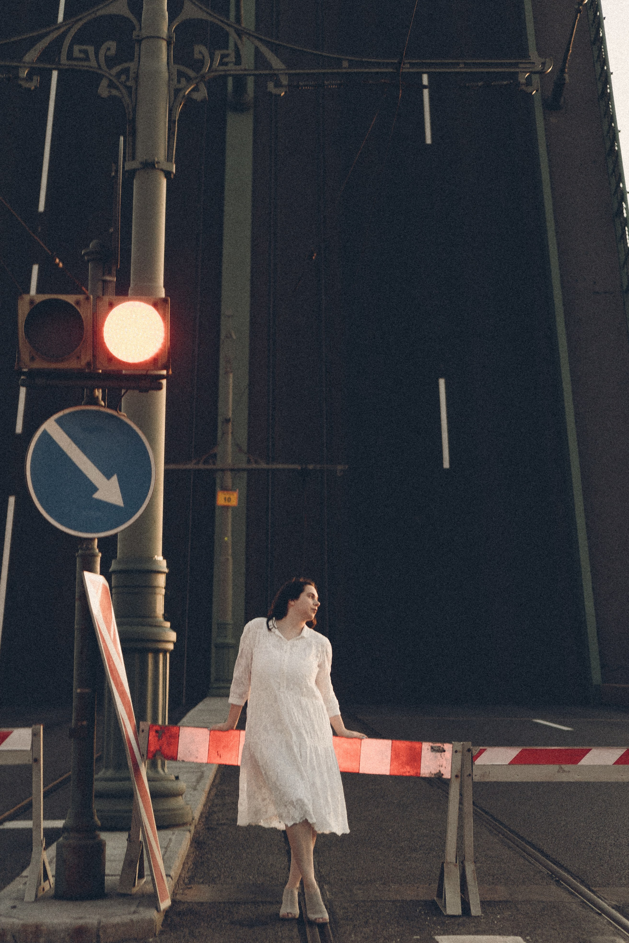 РАССВЕТ С РАЗВОДНЫМИ МОСТАМИ. Профессиональный фотограф, Санкт-Петербург — Виктория Богомолова