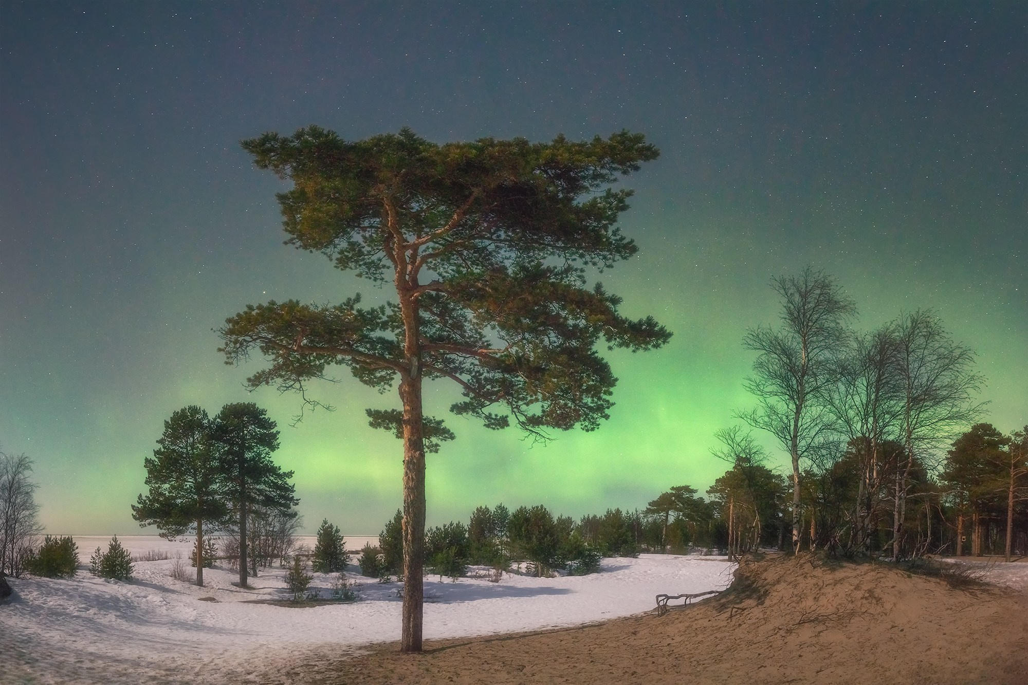 Северное сияние. Аэросъемка в Архангельске, Александр Ермолин