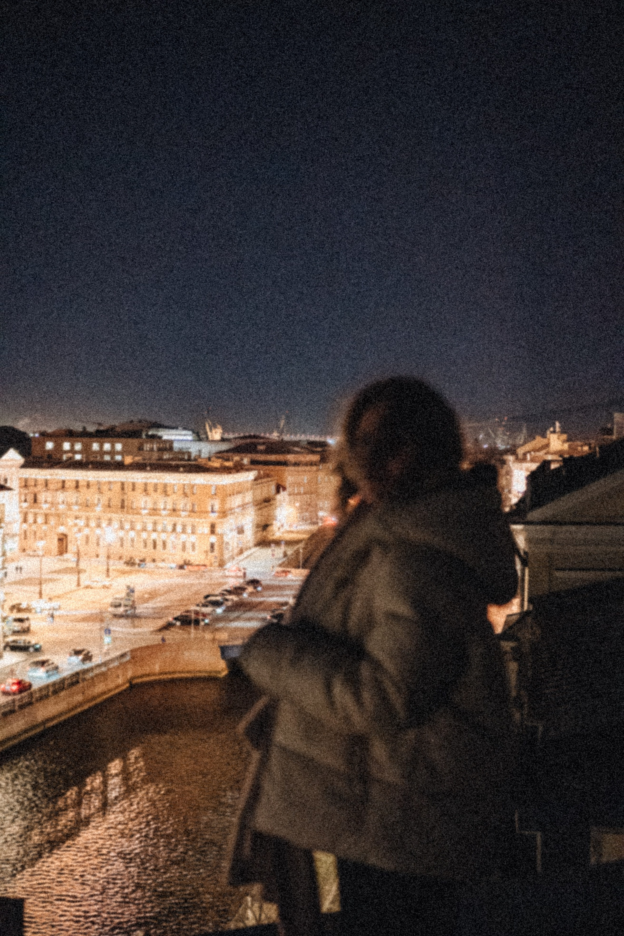 Крыши Питера. Профессиональный фотограф, Санкт-Петербург — Виктория Богомолова