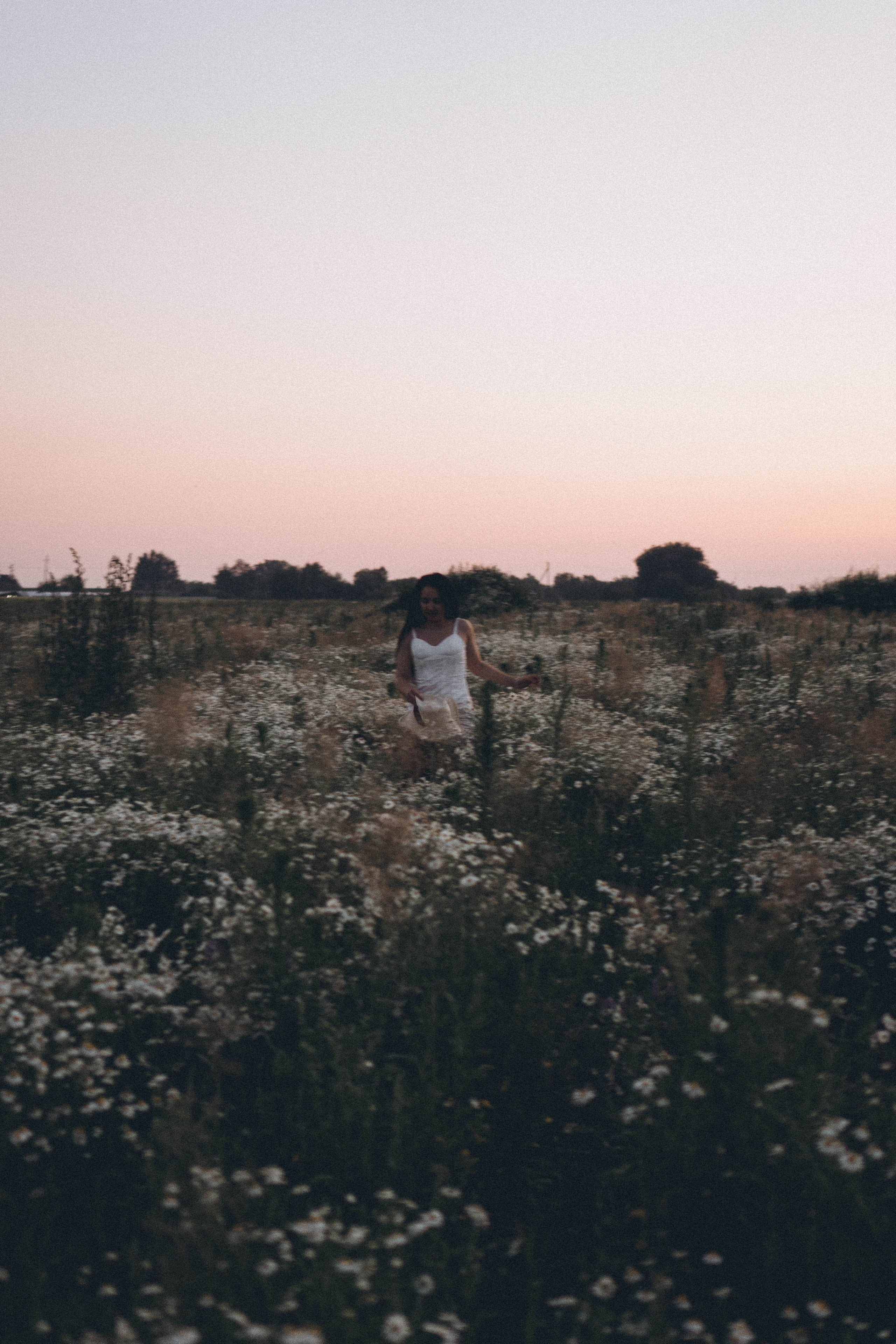 Ромашковое поле. Профессиональный фотограф, Санкт-Петербург — Виктория Богомолова