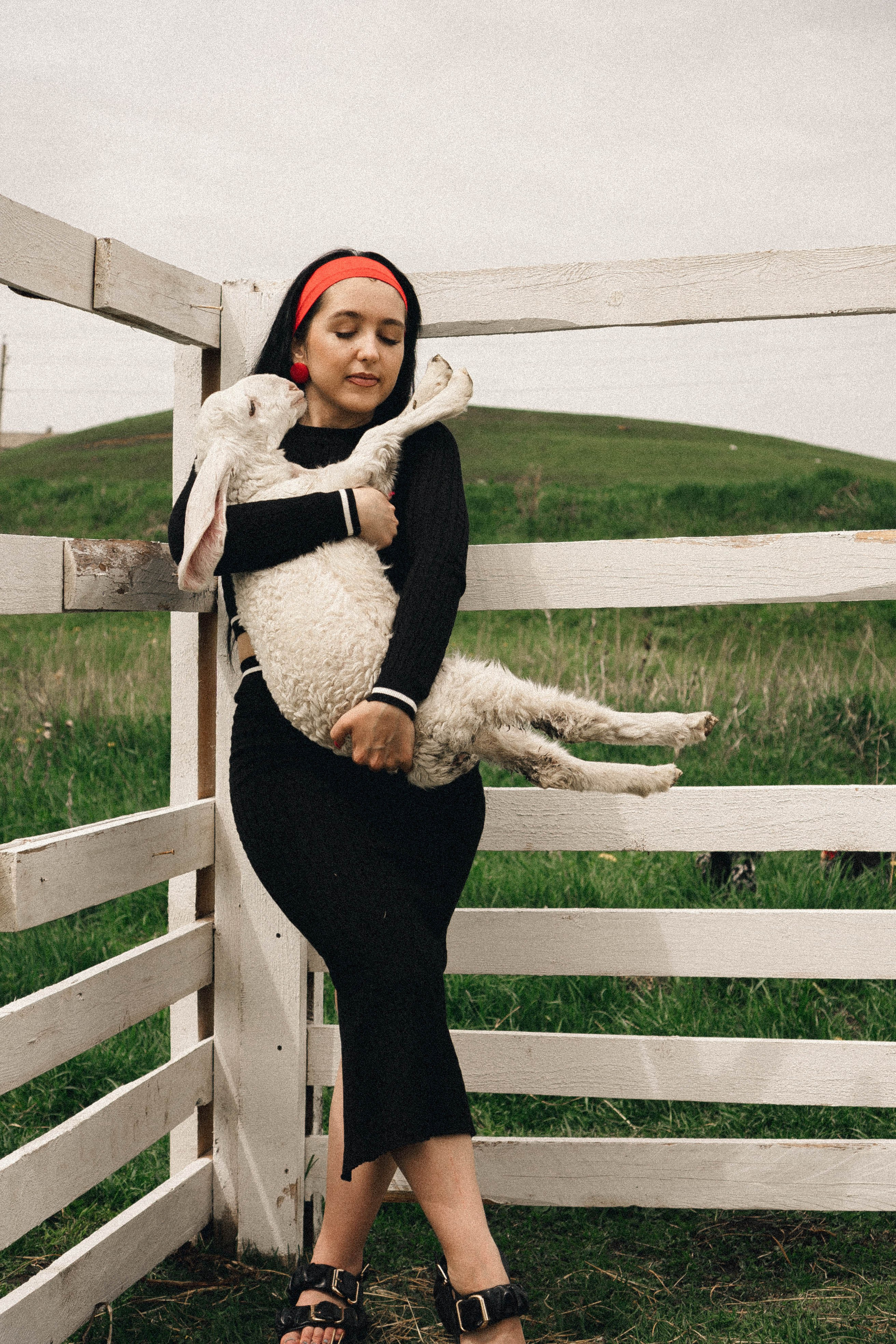 Ферма Альпак. Профессиональный фотограф, Санкт-Петербург — Виктория Богомолова