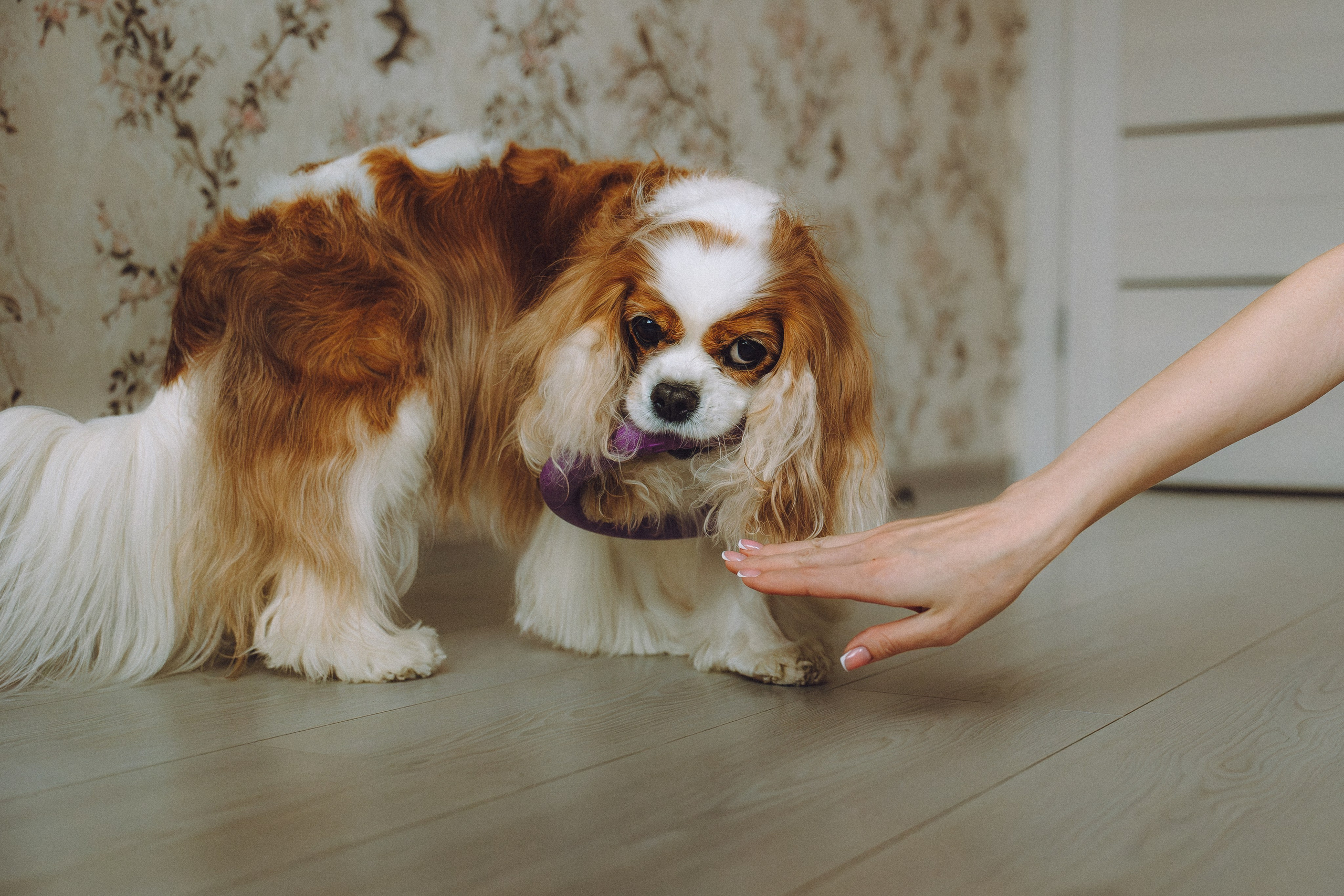 Наташа и Вики