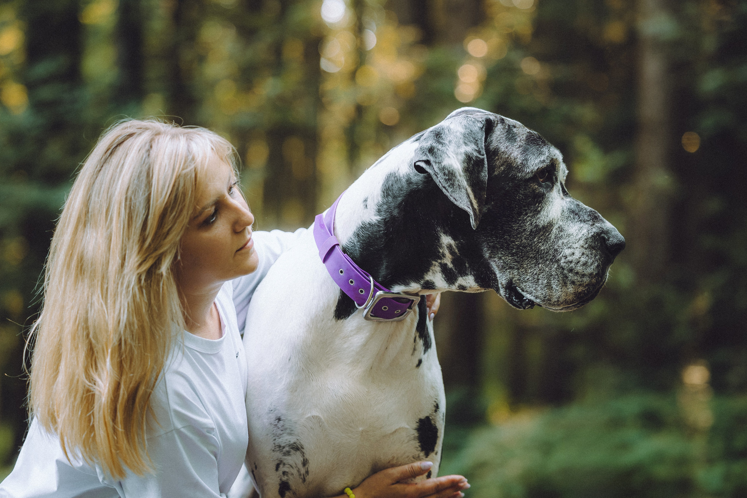 Катя, Андрей, Гектор, Ричи, Тортик и Трой