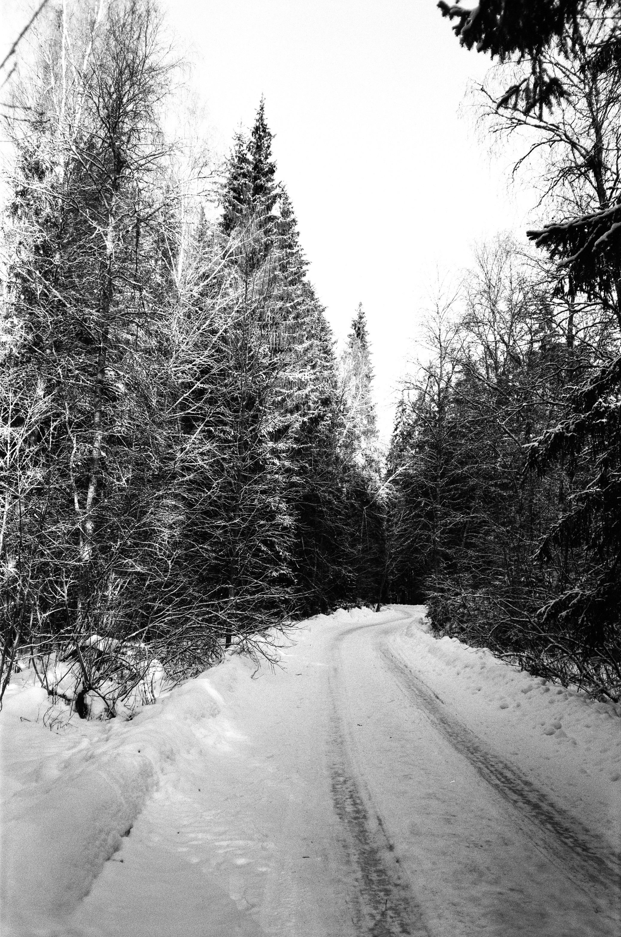 Nikon Action Touch (L35AW) / SFL T-25 / Давыдовское