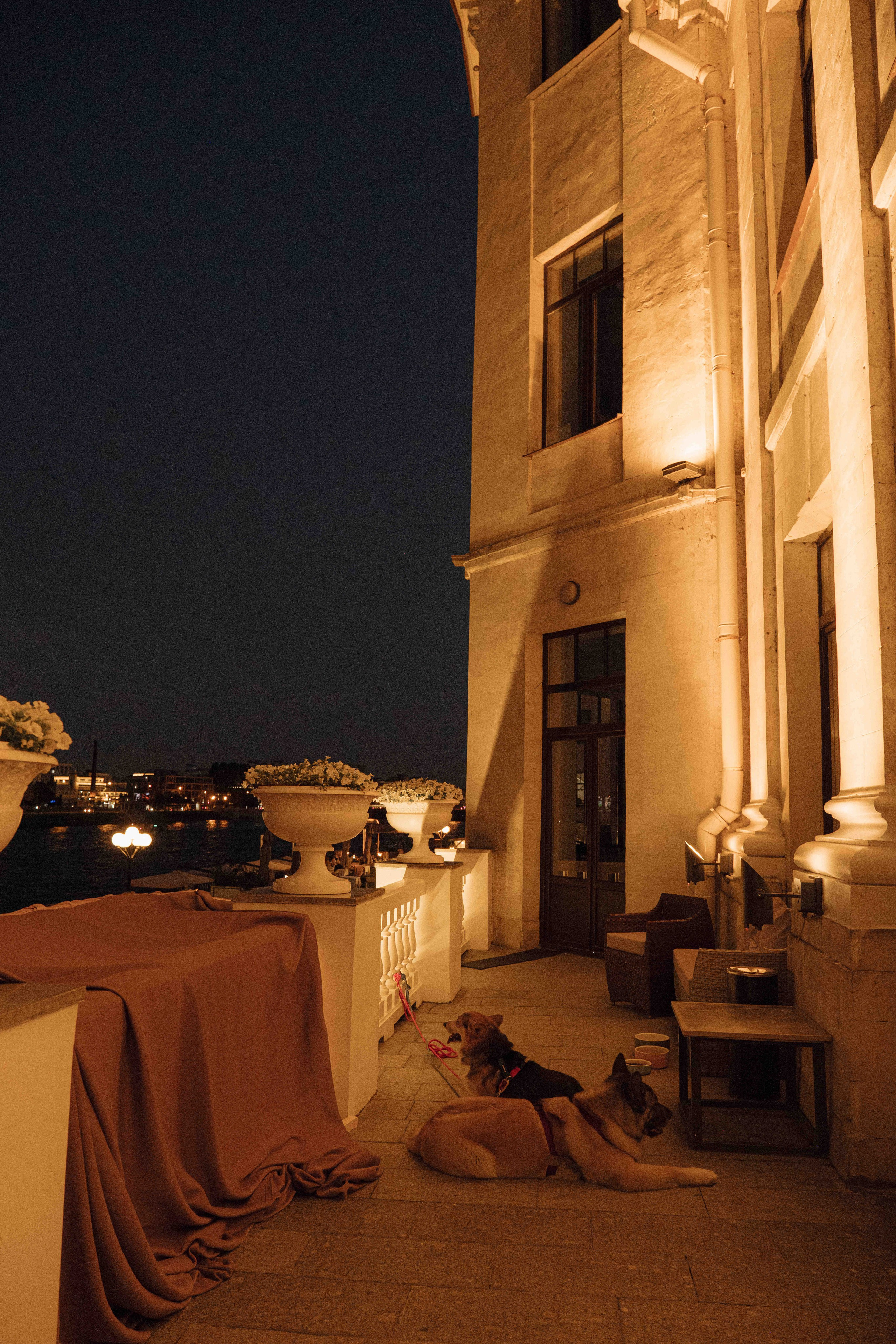 Сентиментальная свадебная фотография