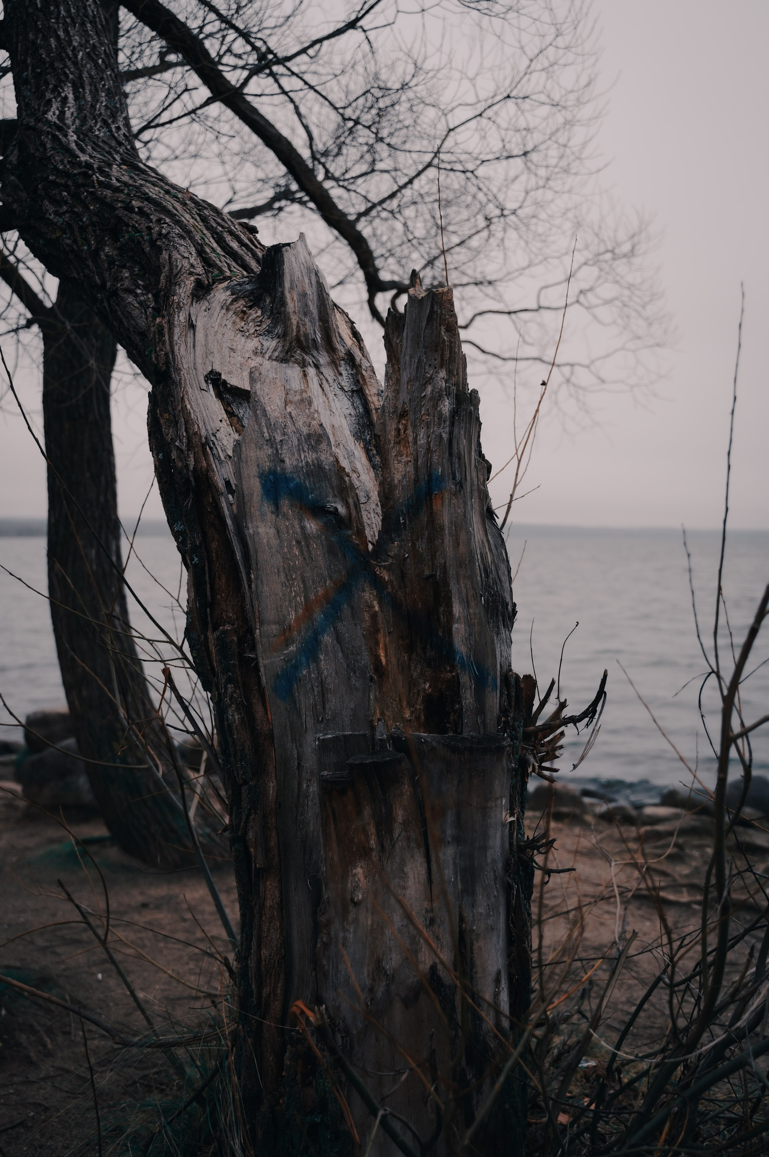 А что потом?... Фотограф в Переславле-Залесском Алексей Погосов