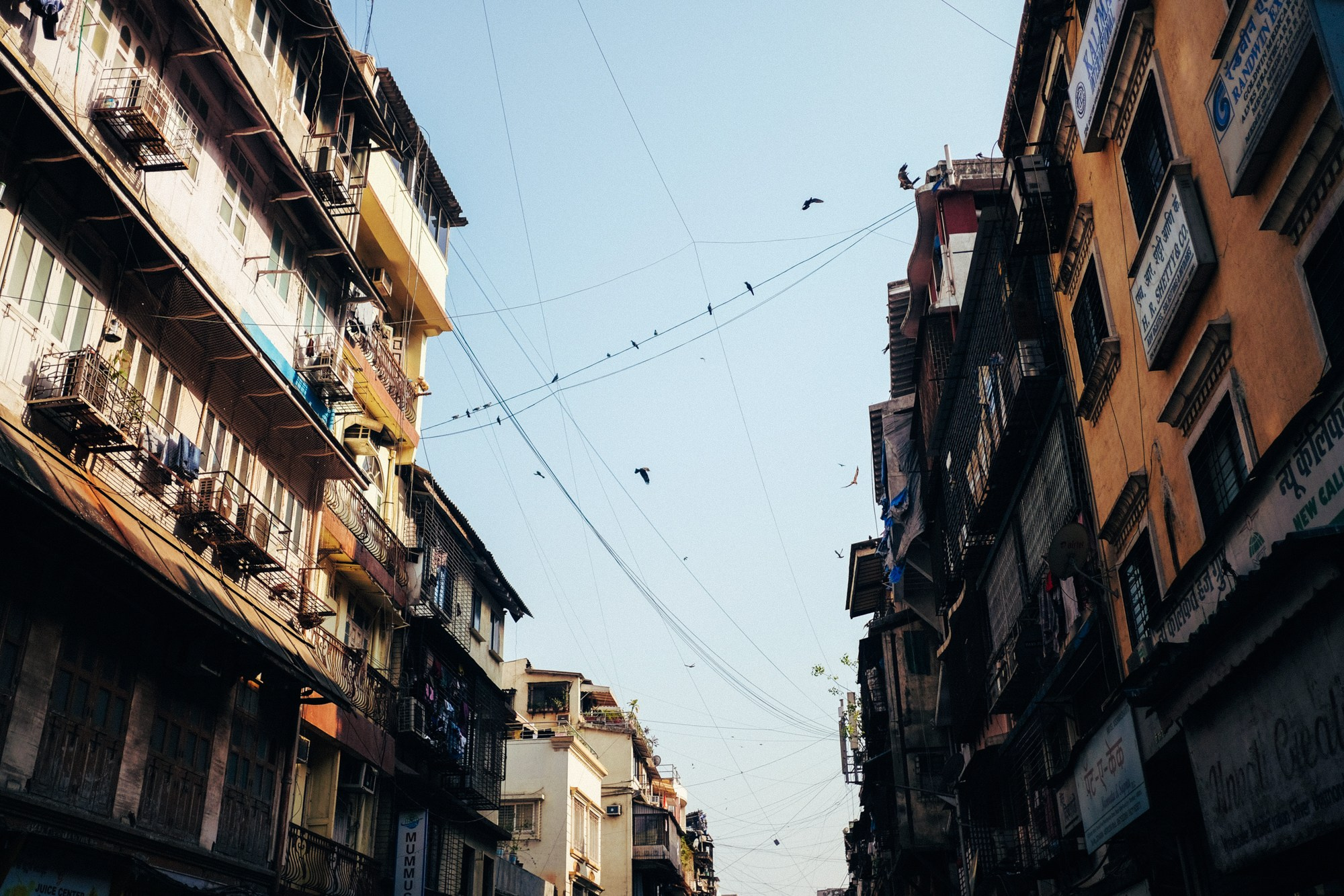 INDIA. Фотограф Дмитрий Олрайт | Калуга, Россия