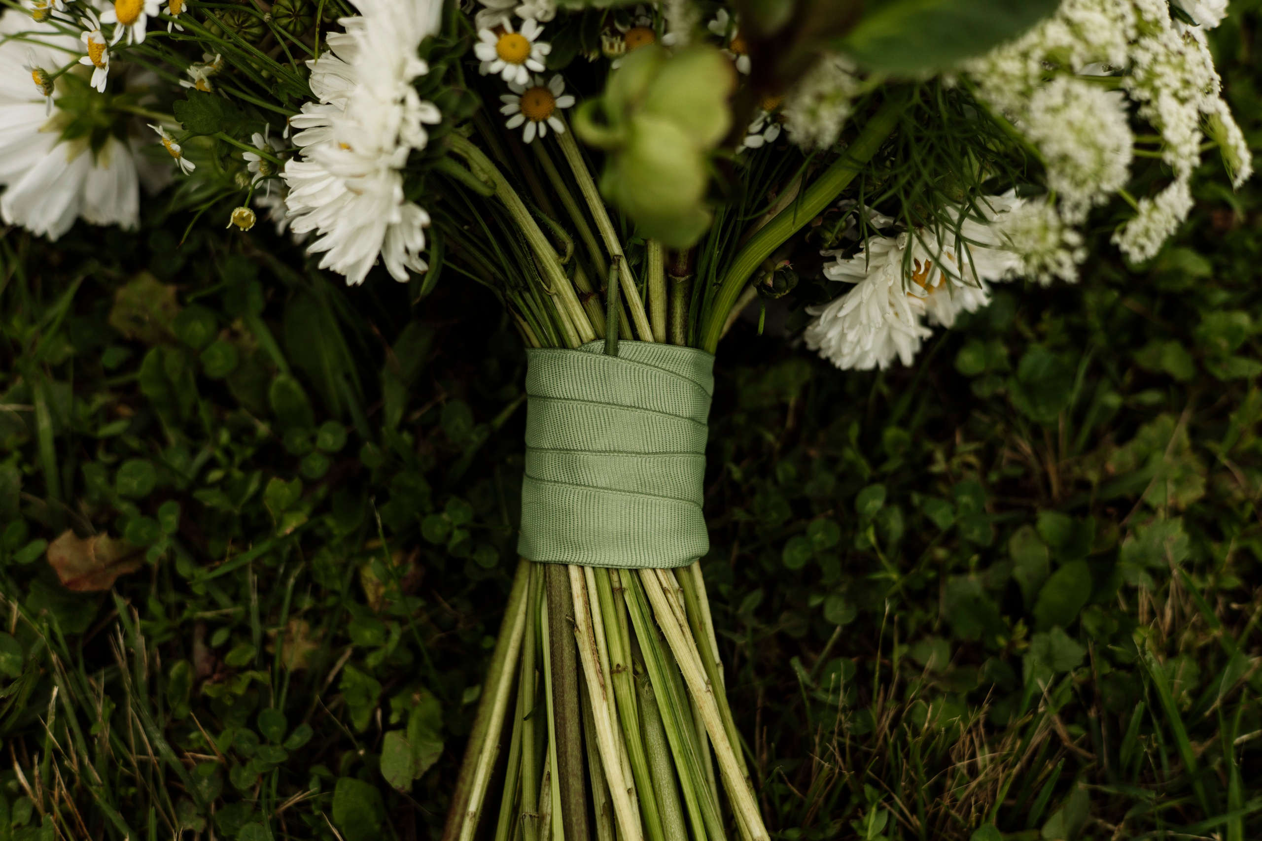 Артём и Вероника pine river. Nikolpinhasova