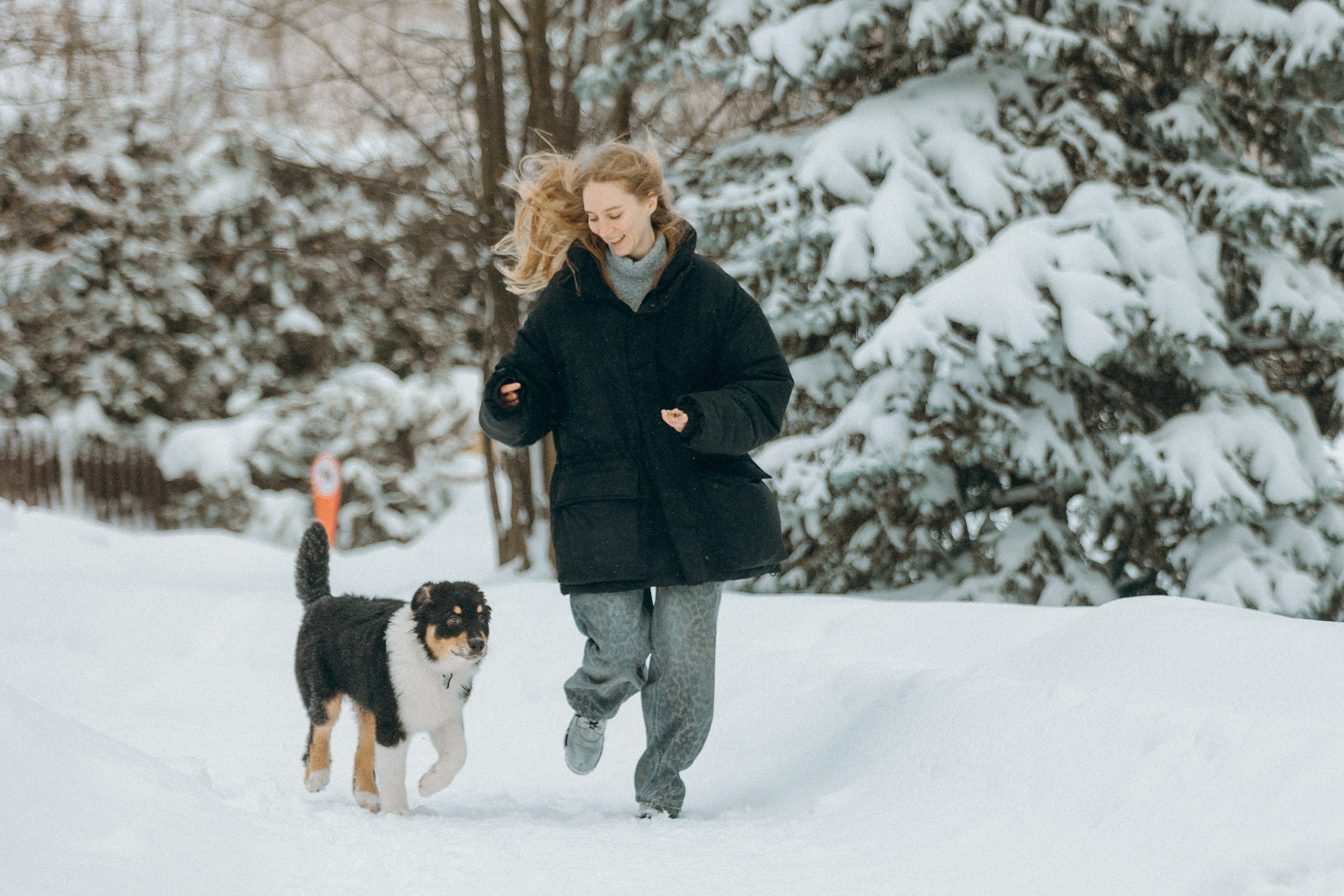 Рей со своей семьей. Фотограф. Фотограф-анималист. Москва