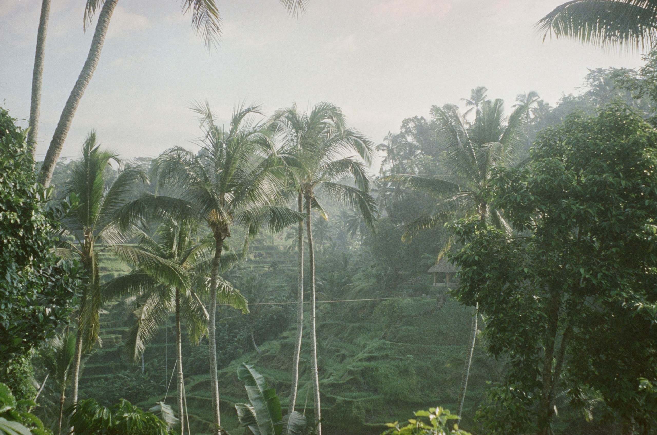 Who u are?. Carolinetru