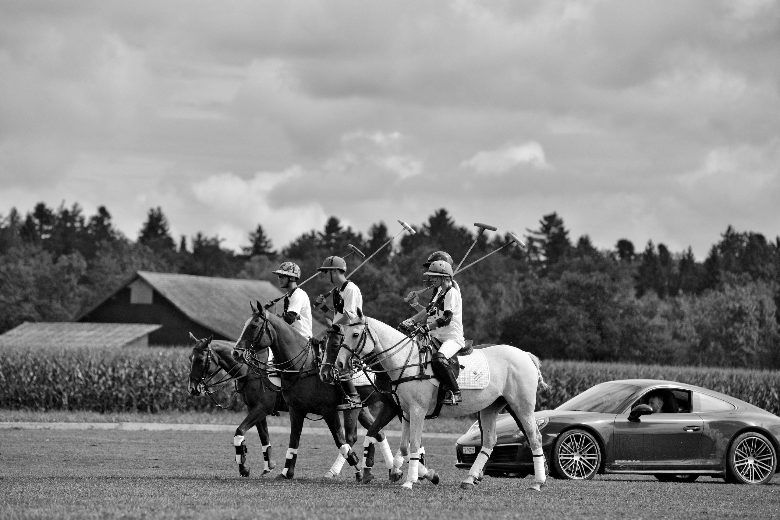 Polo art photos. Art photos of horses — ARTUR BABOEV | Photographer