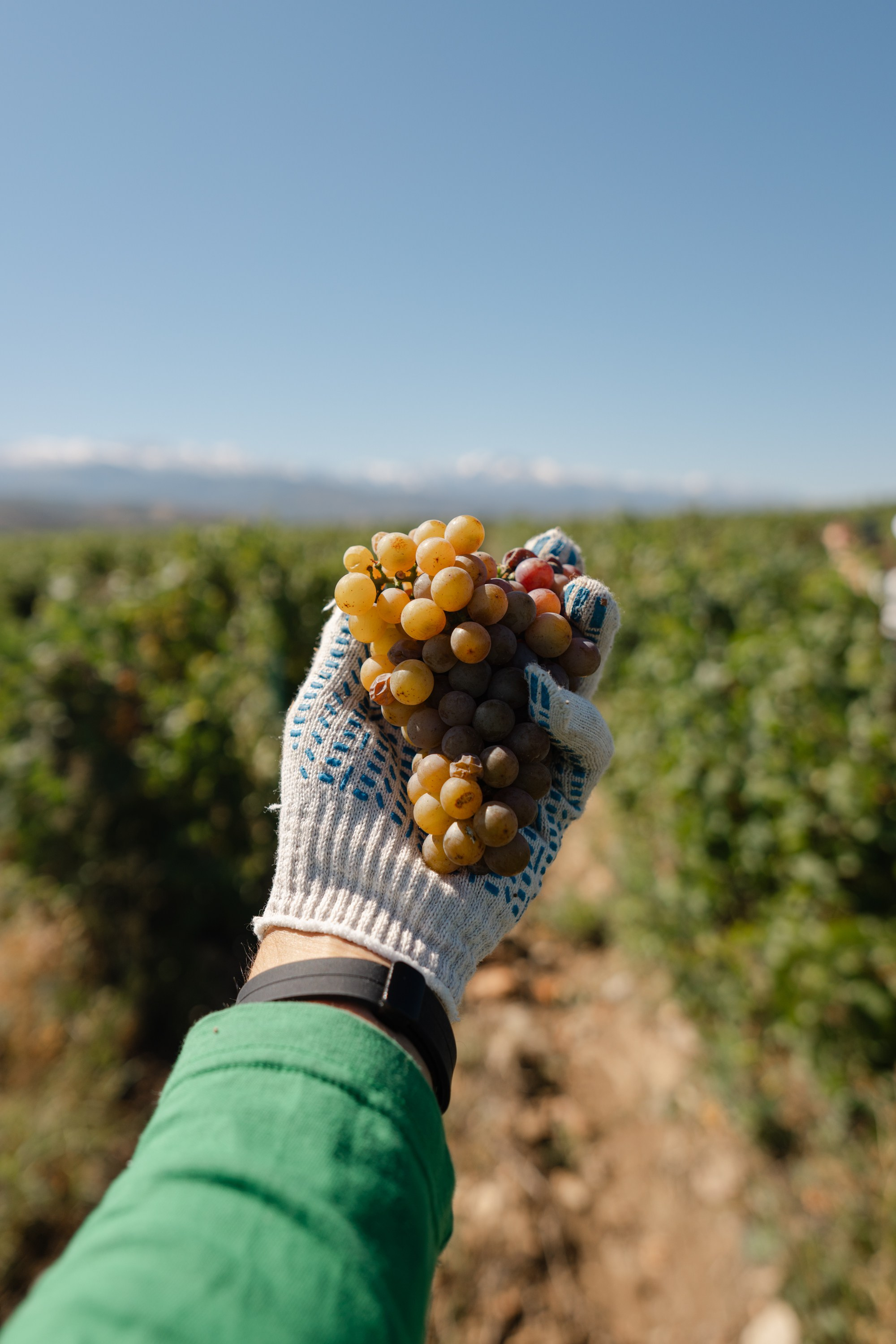 ArbaWine. Адиль Абильтаев|Фотограф|Астана