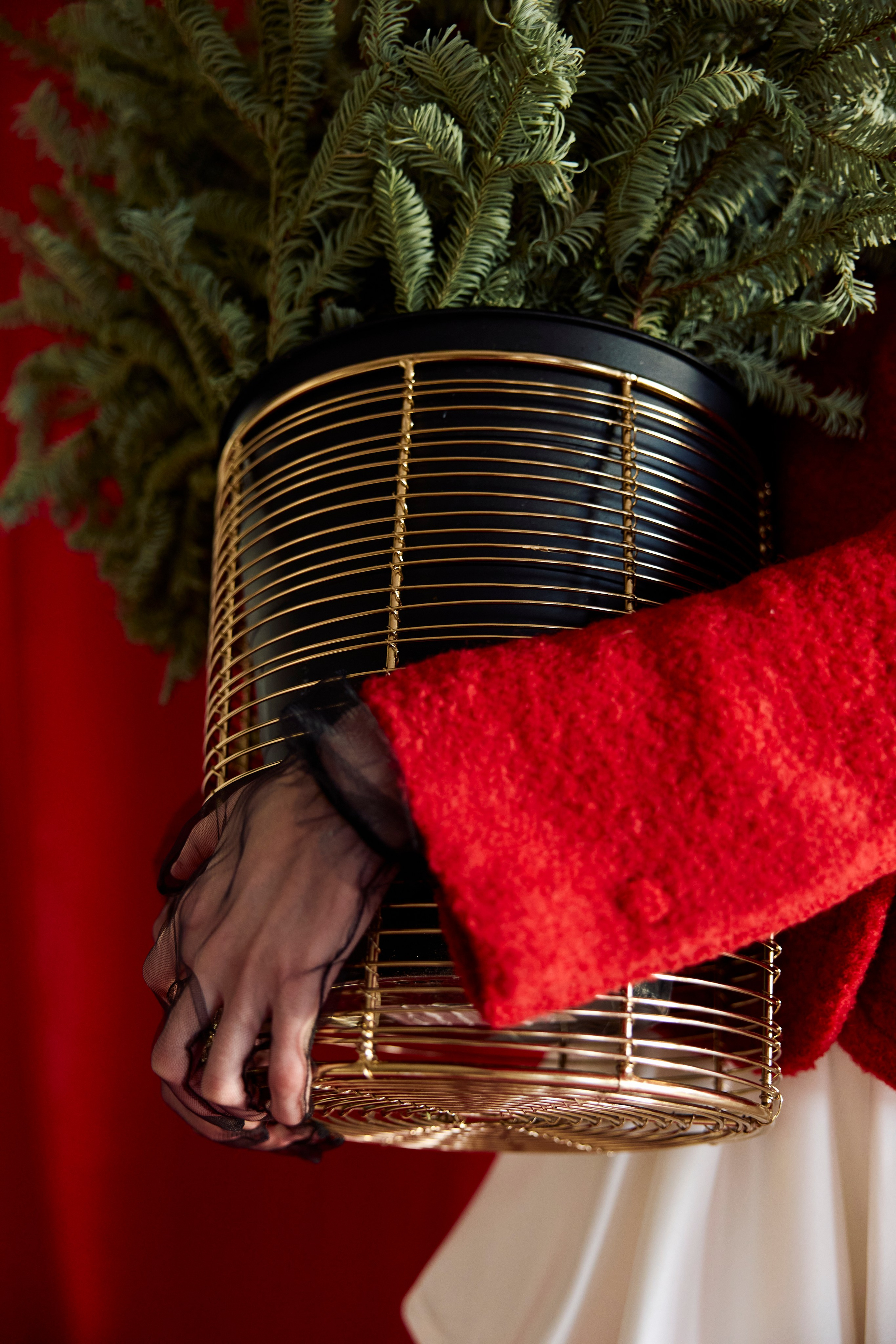 Полина. Фотограф Юлия Иванцова