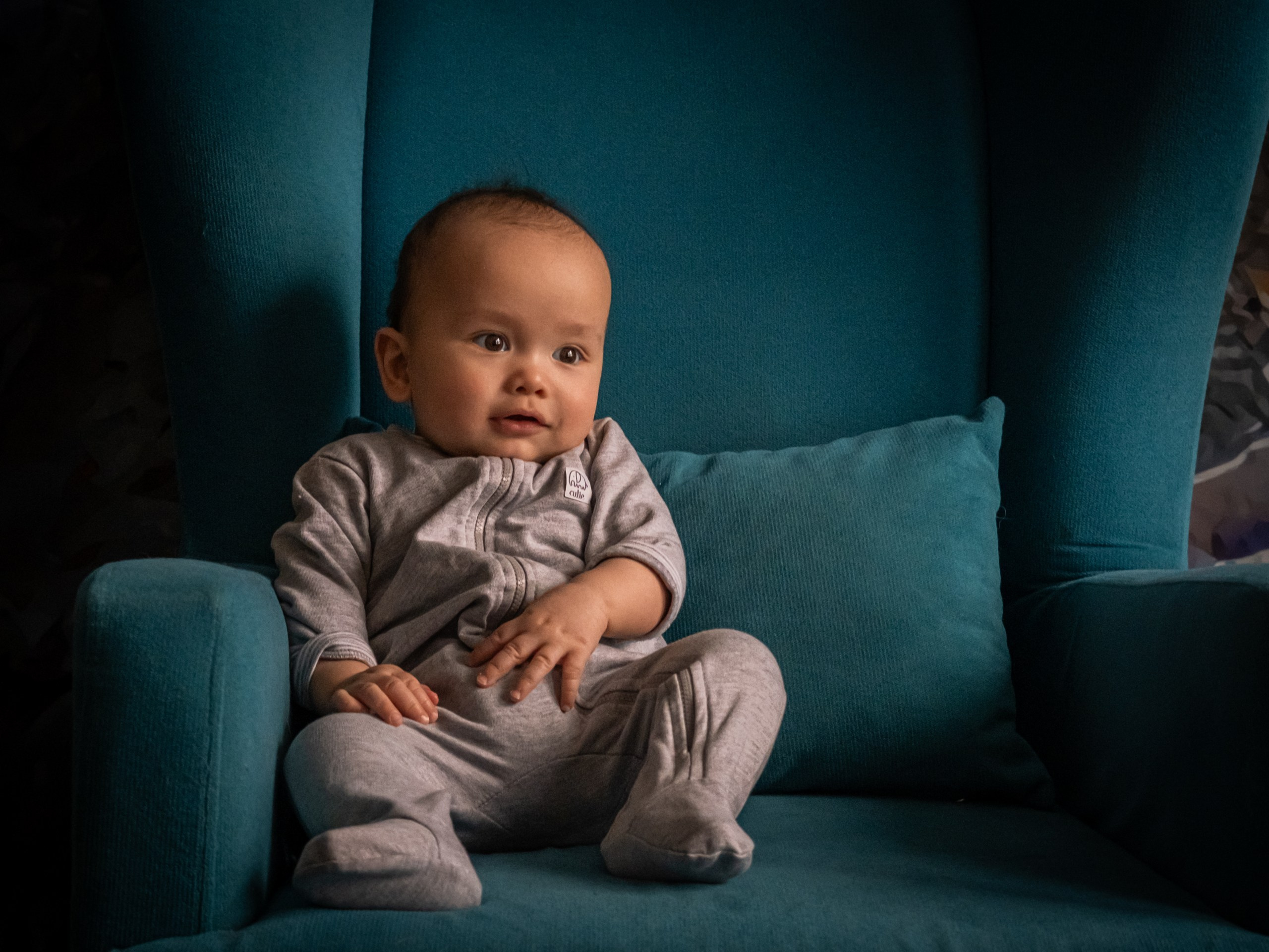 Прекрасная семья Кирилла и Лилии!. Зоофотограф, фотограф животных в Москве и области Дина Дамоцева