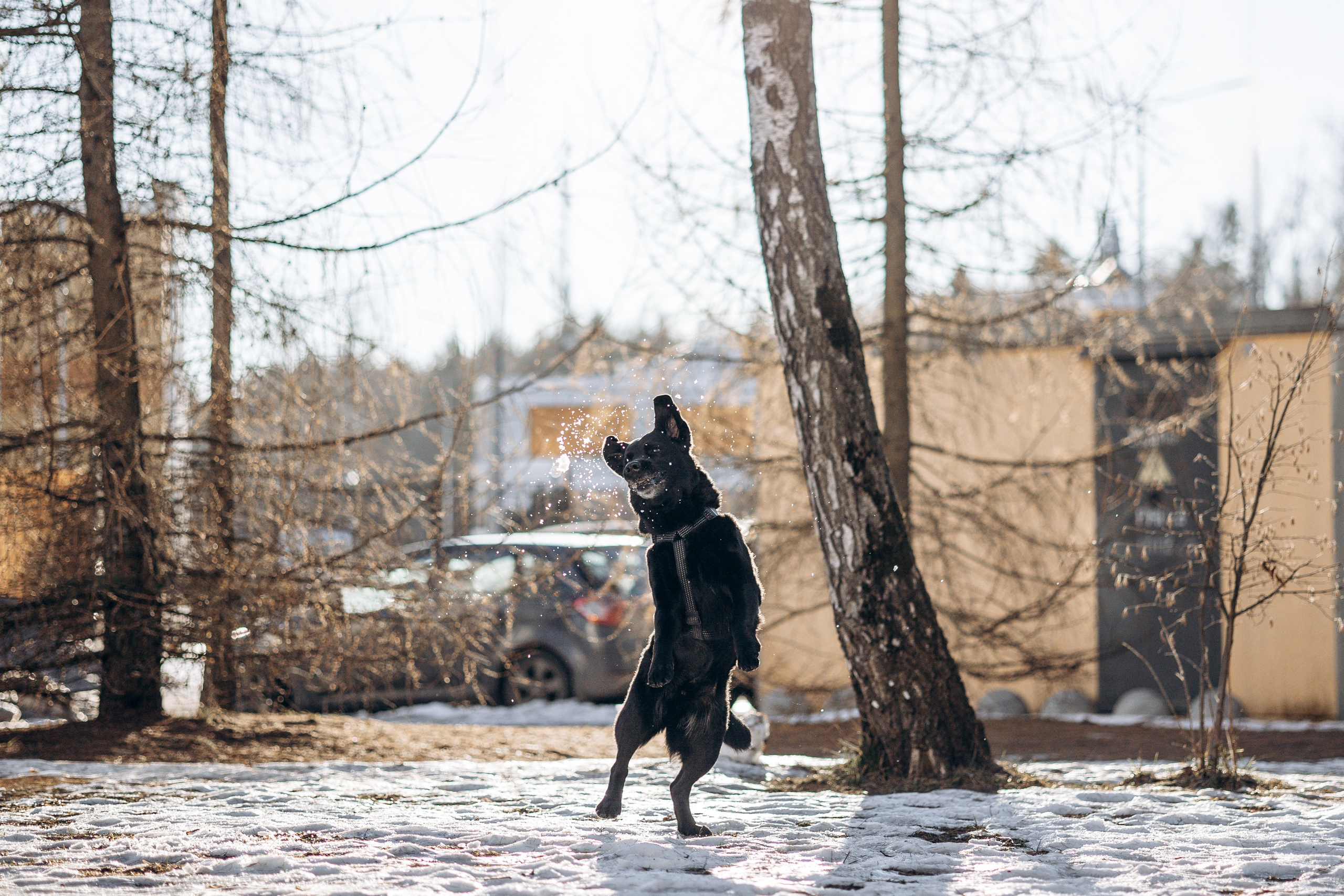 Таня и ее семья. Фотограф — Анималист | Санкт-Петербург