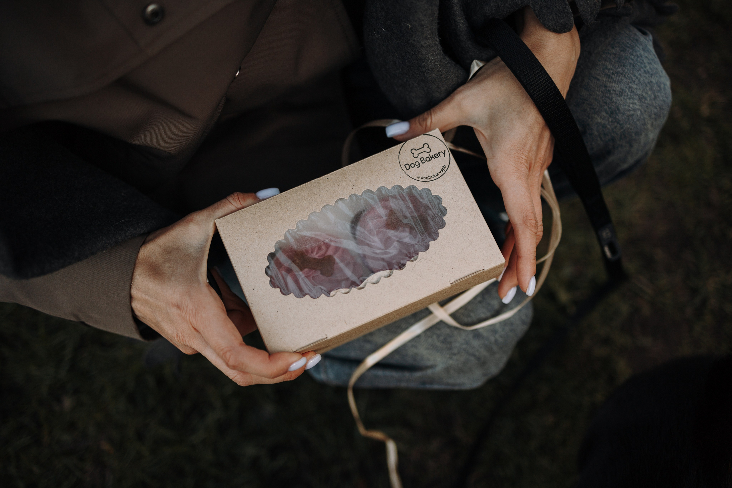 Даша и ее девочки. Фотограф — Анималист | Санкт-Петербург